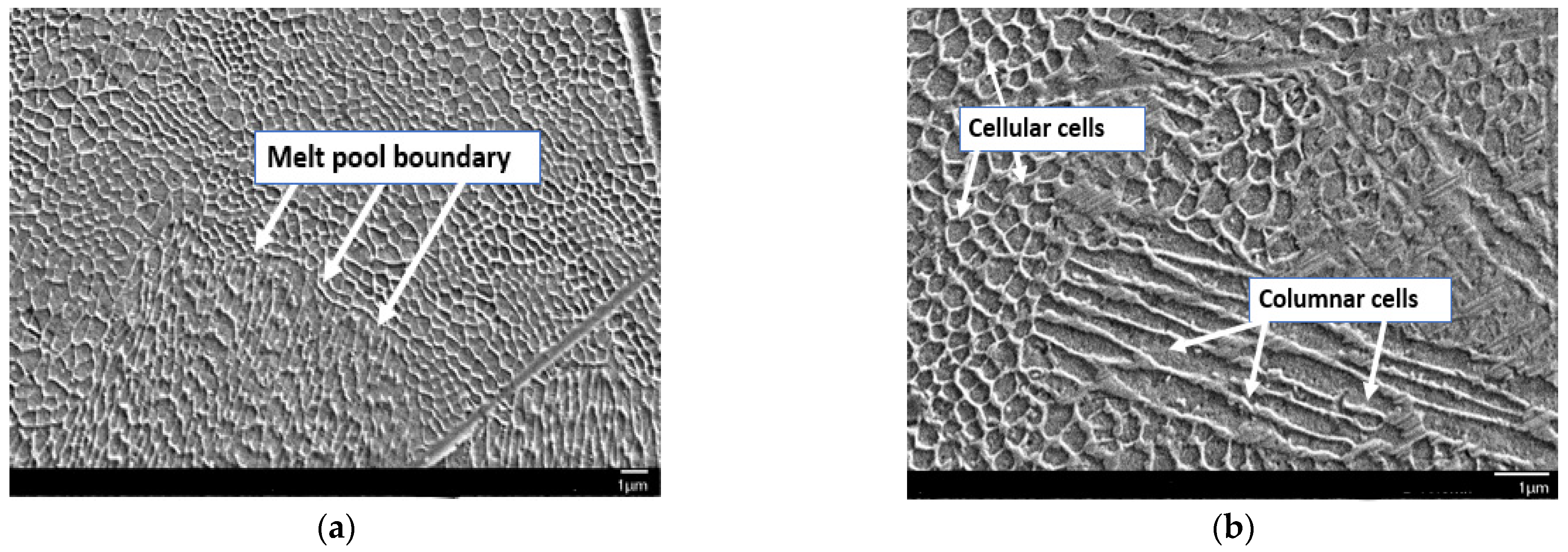 Materials 18 01999 g004