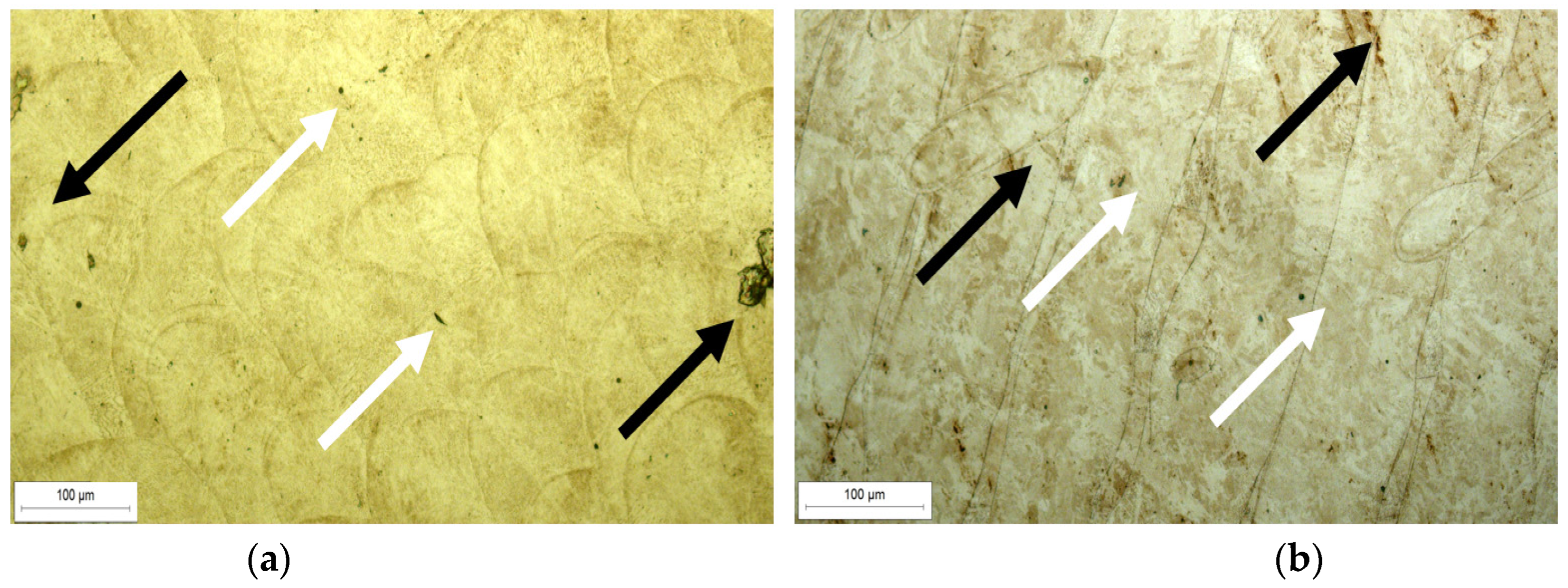 Materials 18 01999 g005