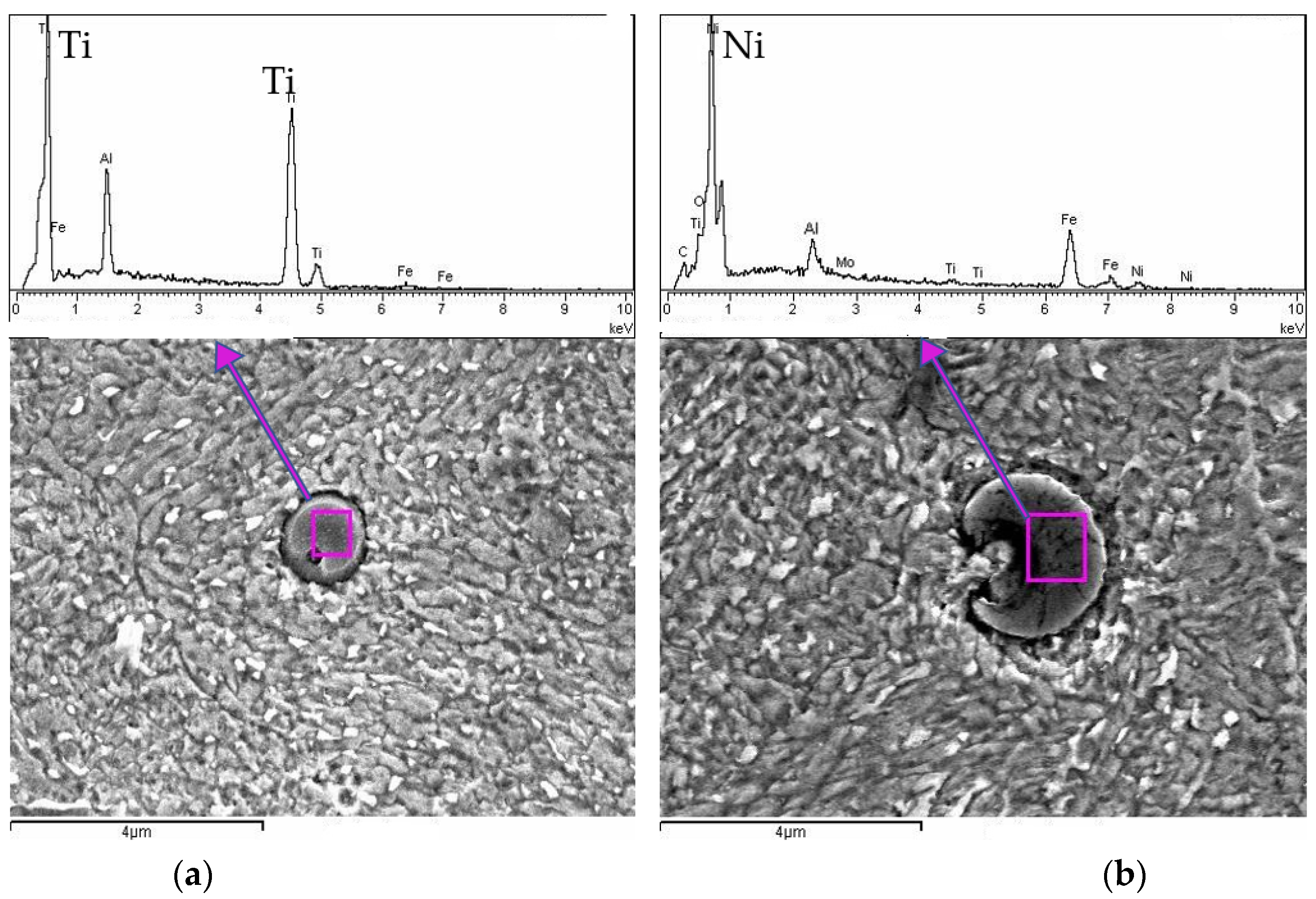 Materials 18 01999 g007
