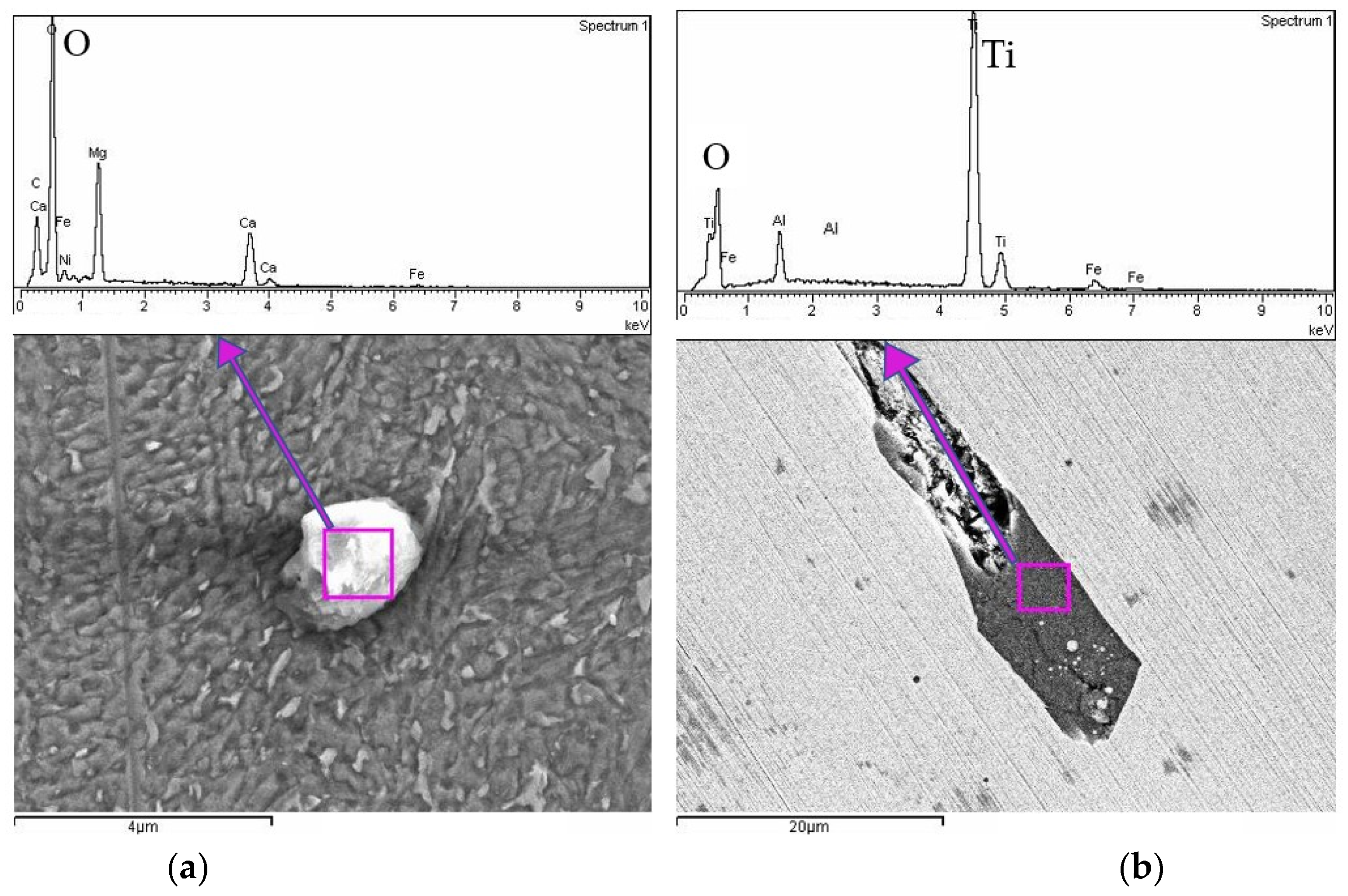 Materials 18 01999 g008