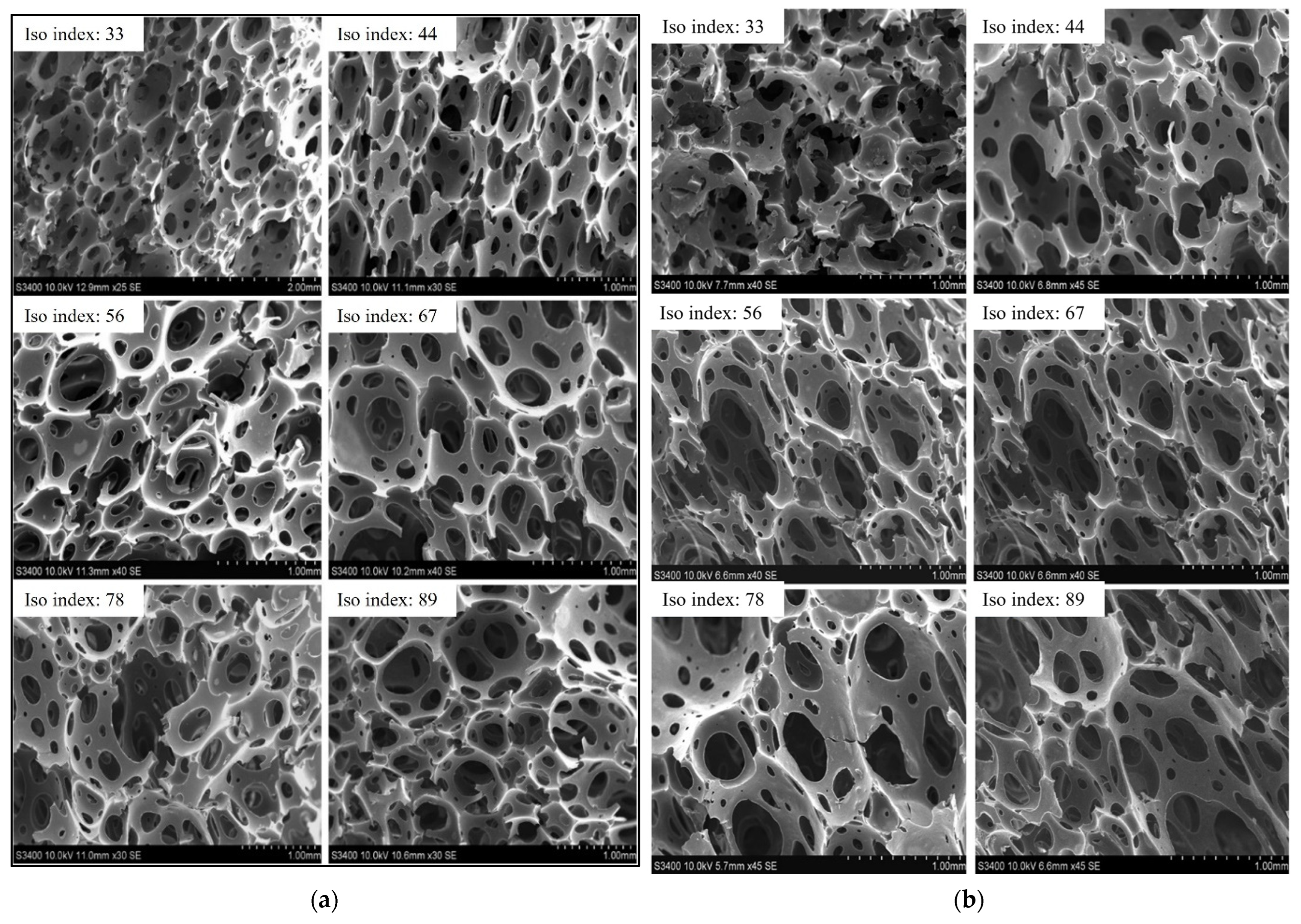 Materials 18 02006 g006