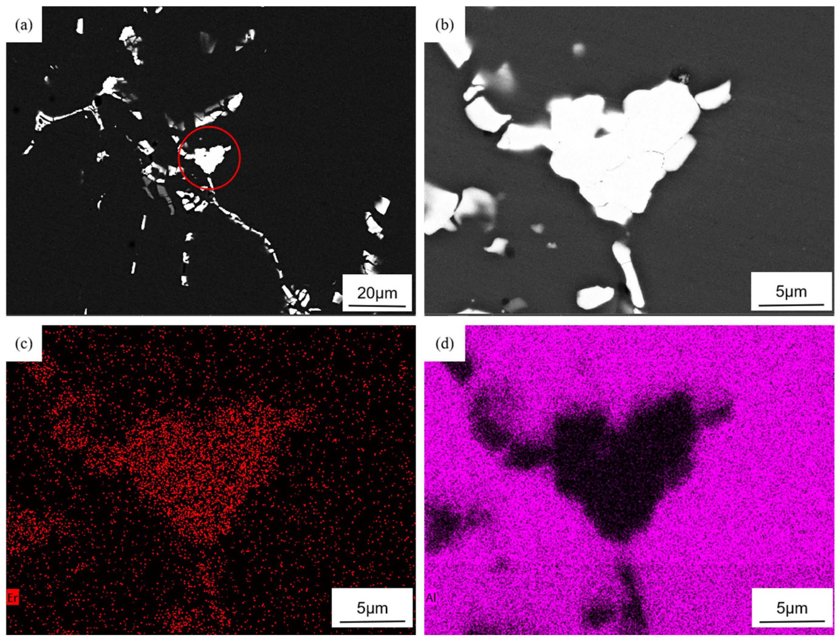 Materials 18 02009 g007