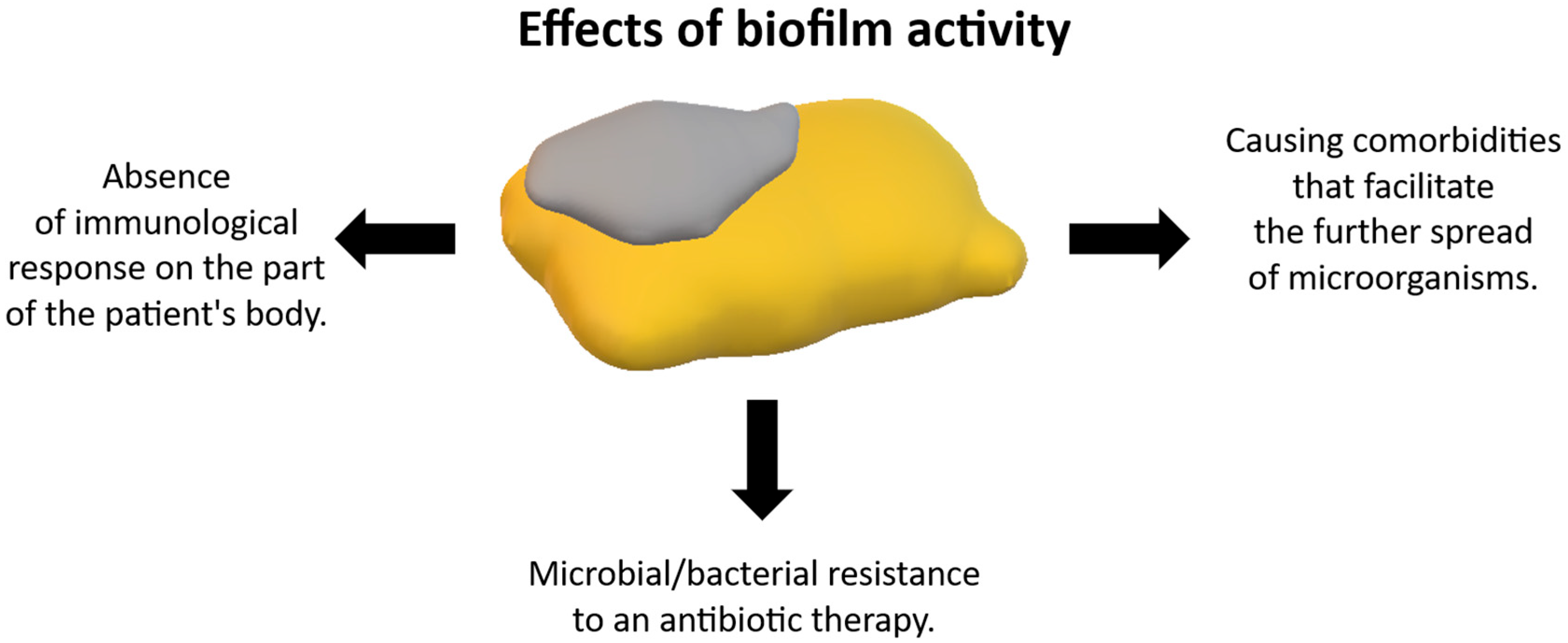 Materials 18 02021 g005 Materials 18 02021 g005
