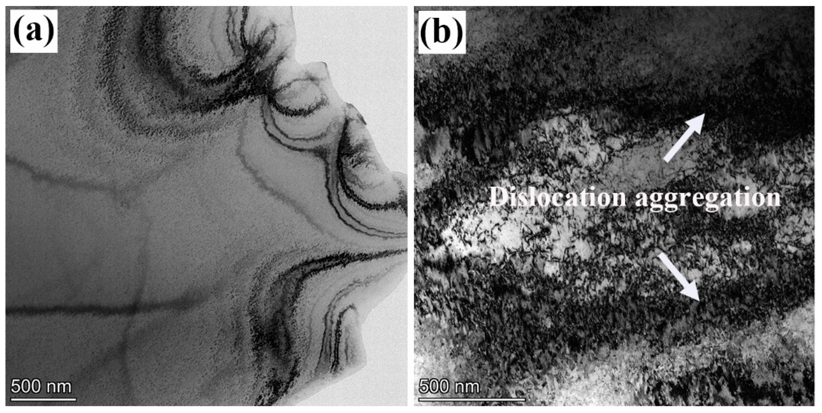 Materials 18 02026 g008