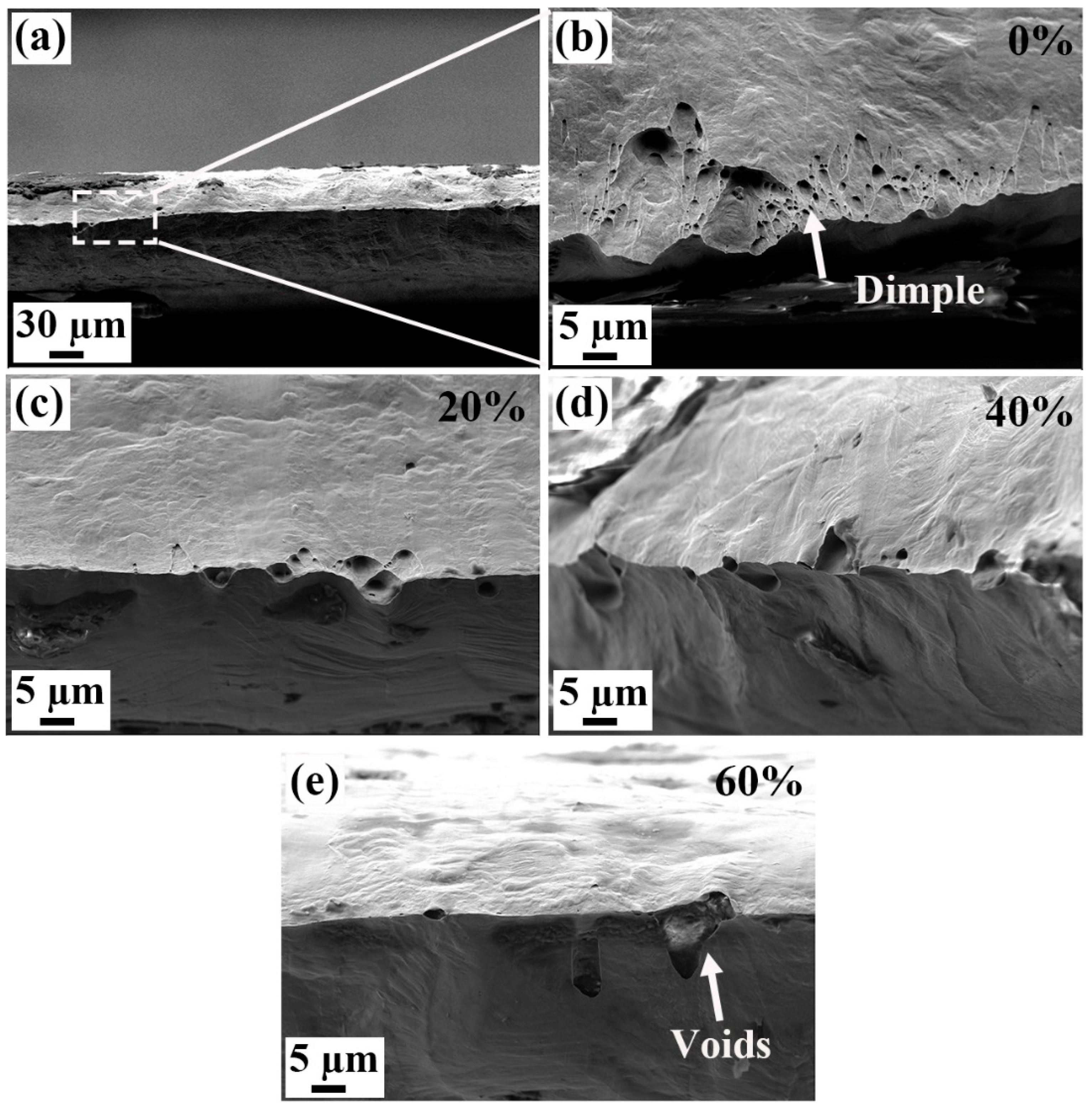 Materials 18 02026 g010