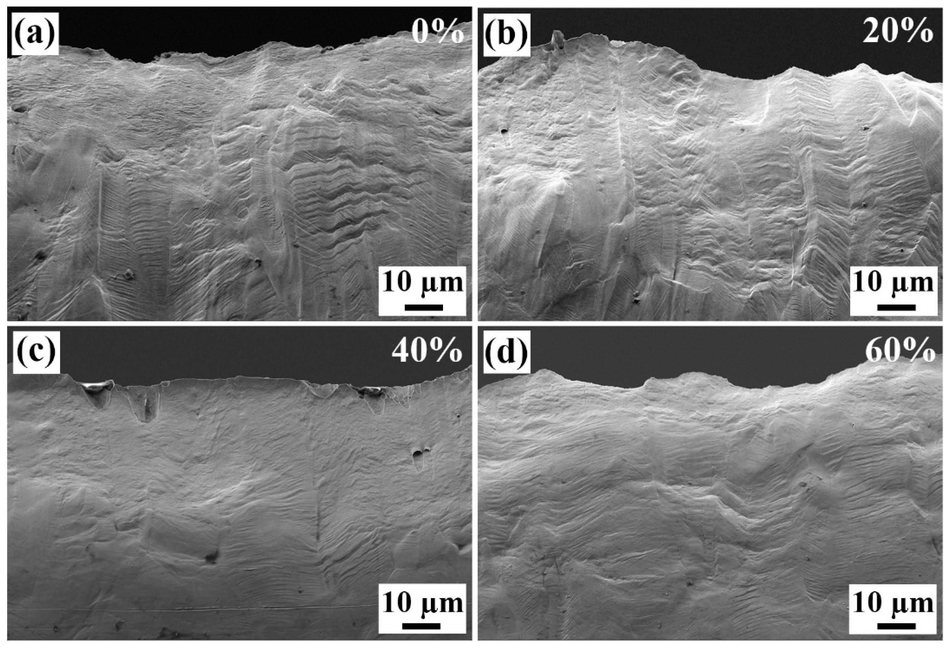 Materials 18 02026 g011