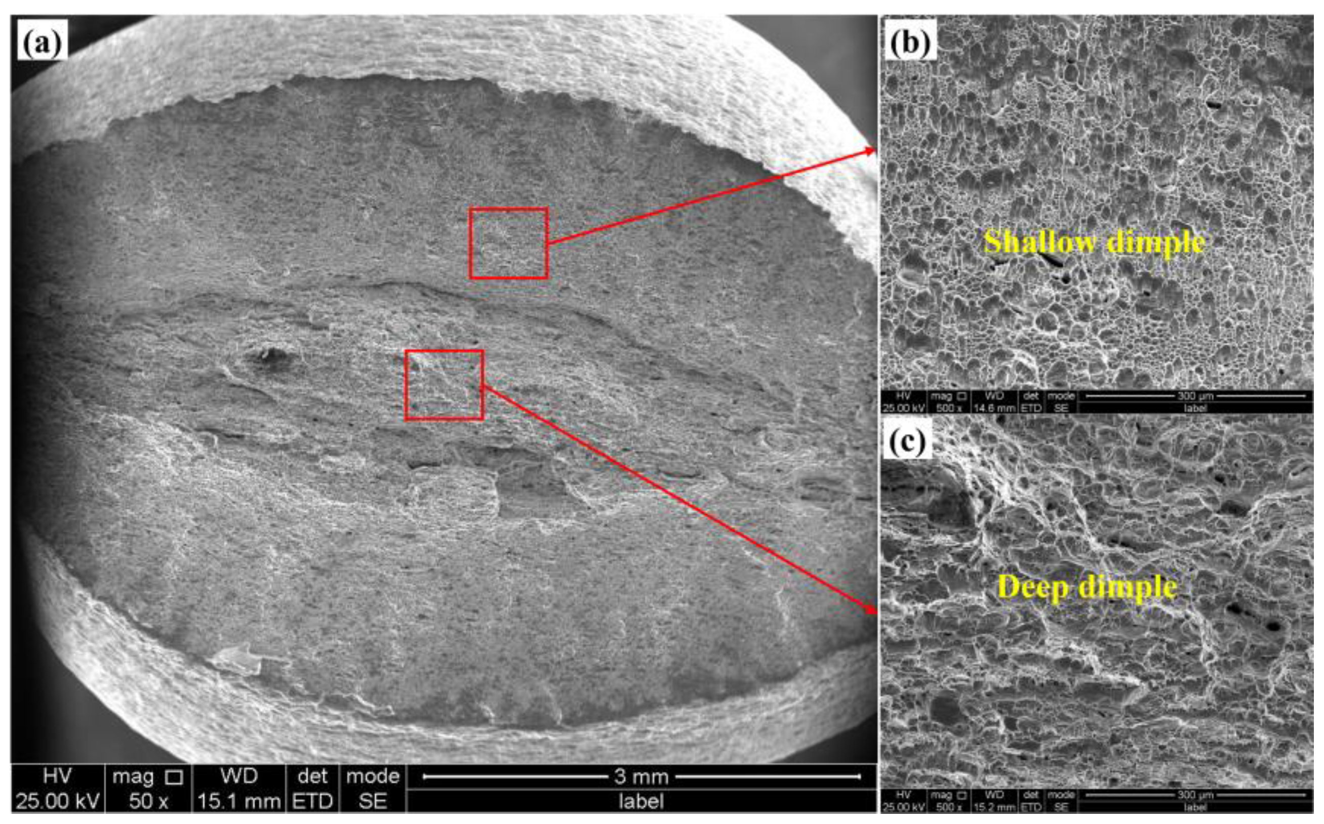 Materials 18 02030 g005