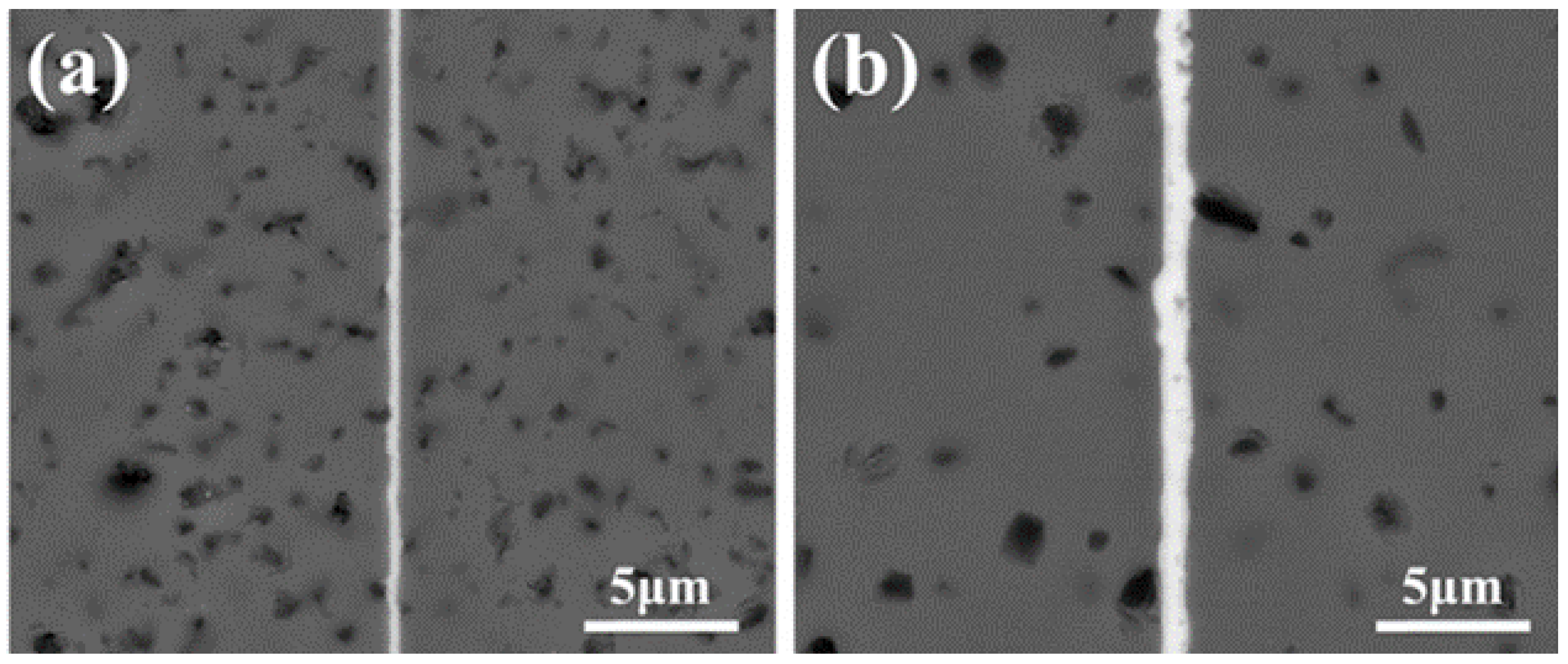 Materials 18 02046 g003