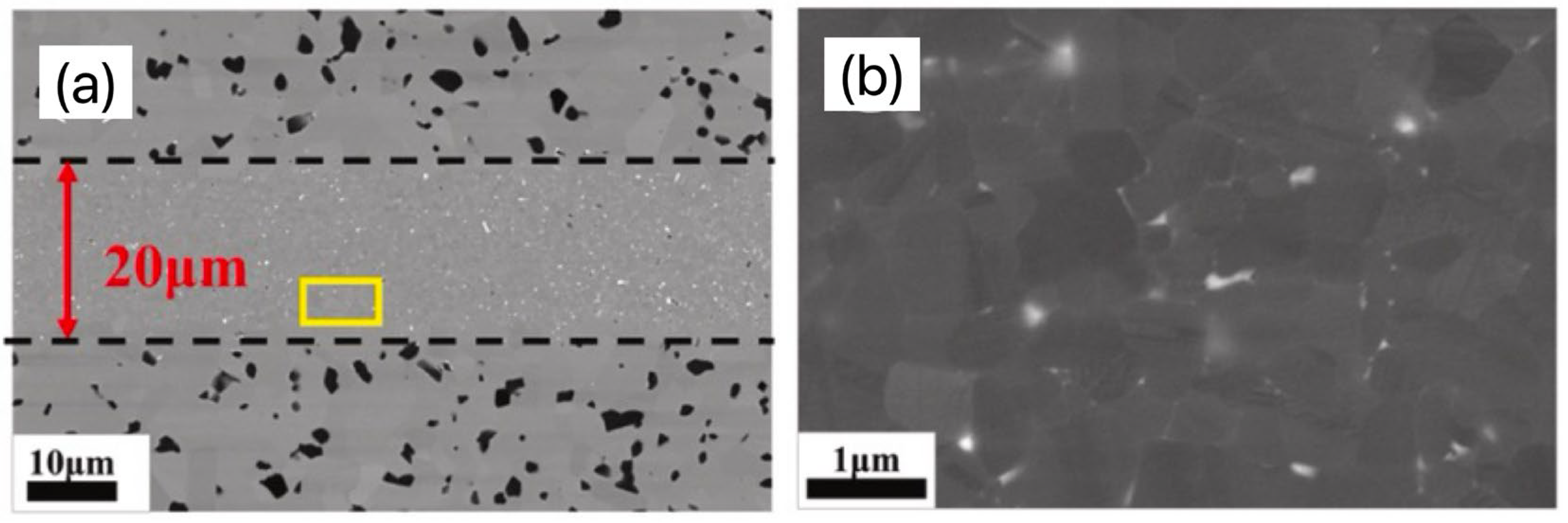 Materials 18 02046 g005