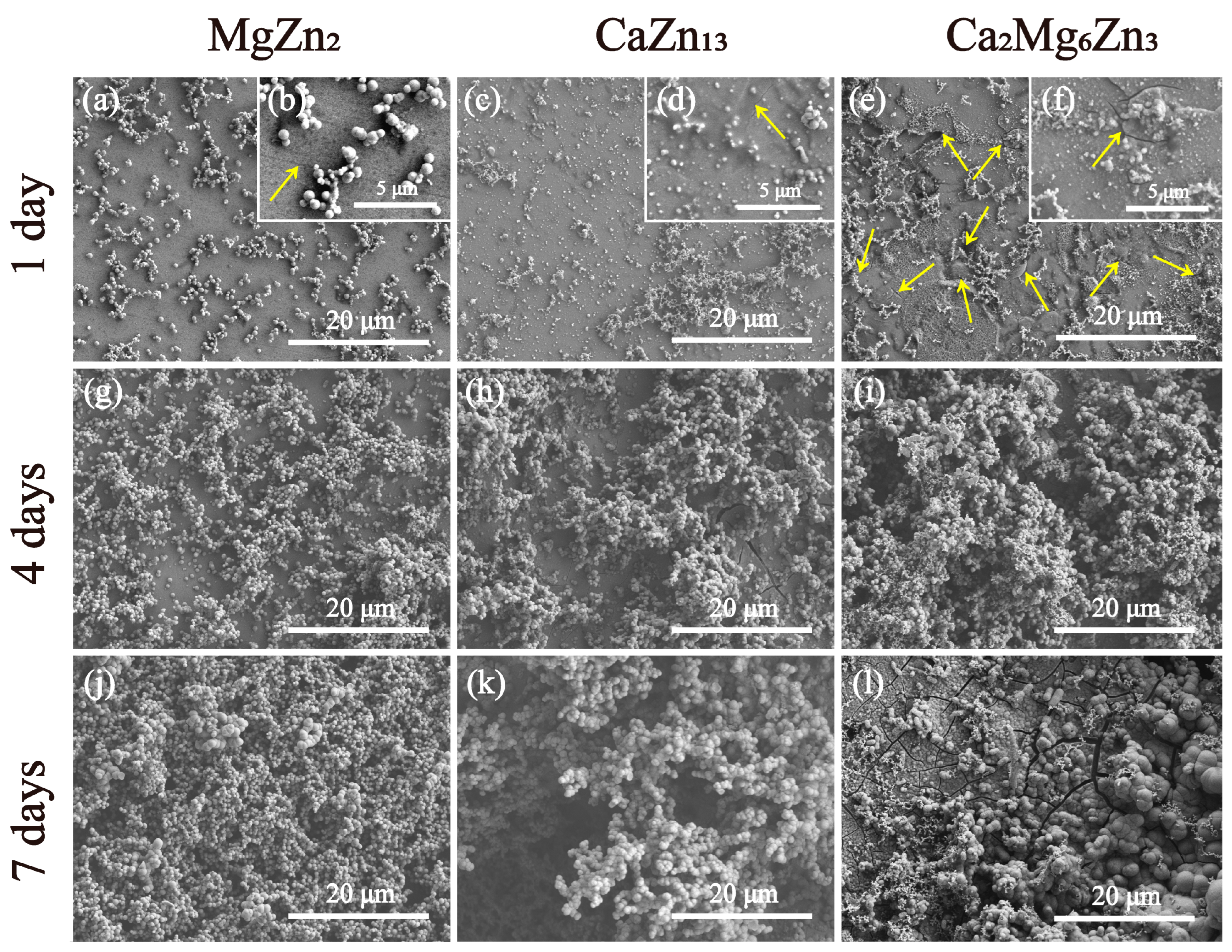 Materials 18 02057 g012