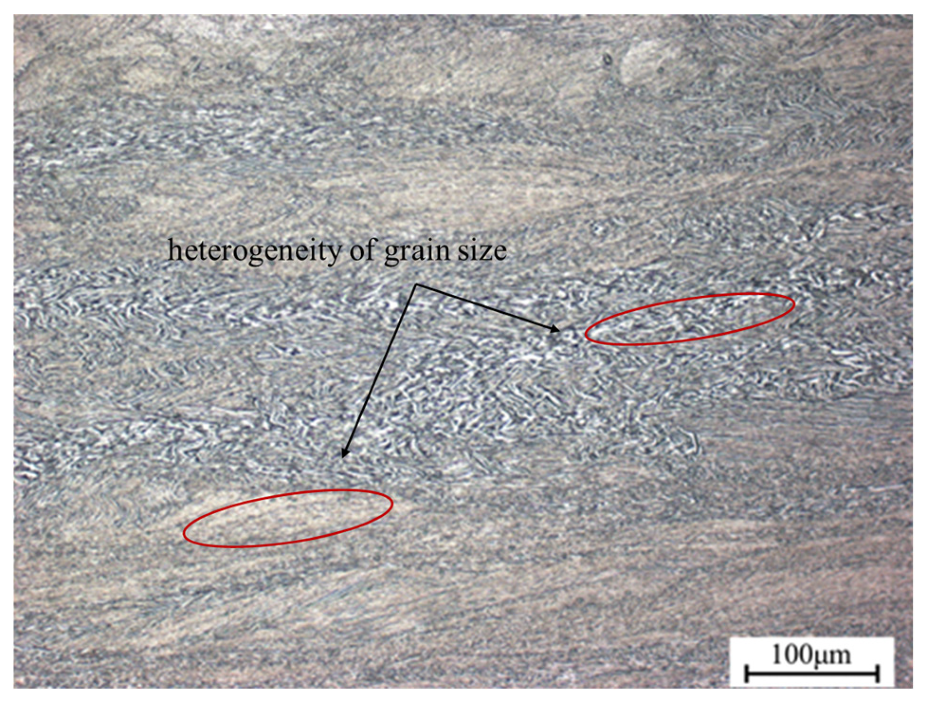 Materials 18 02067 g010