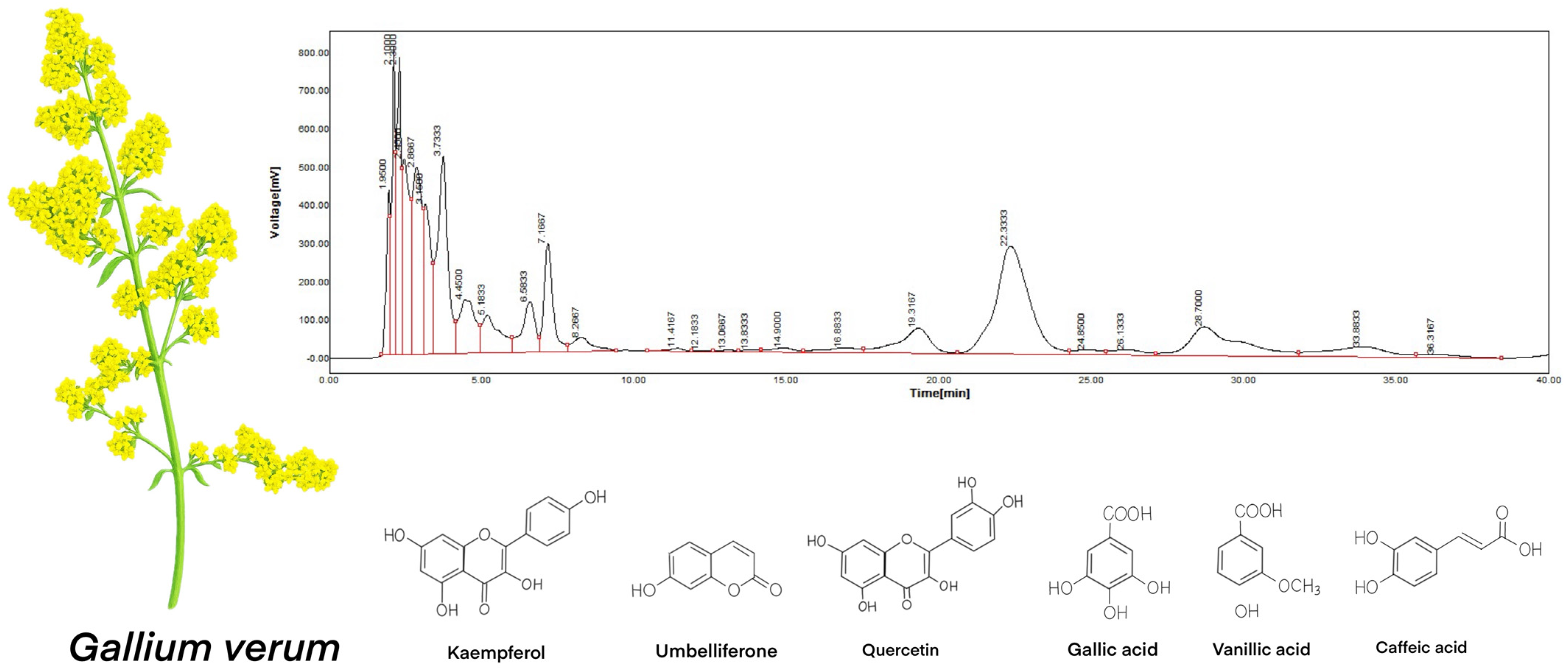 Materials 18 02078 g001