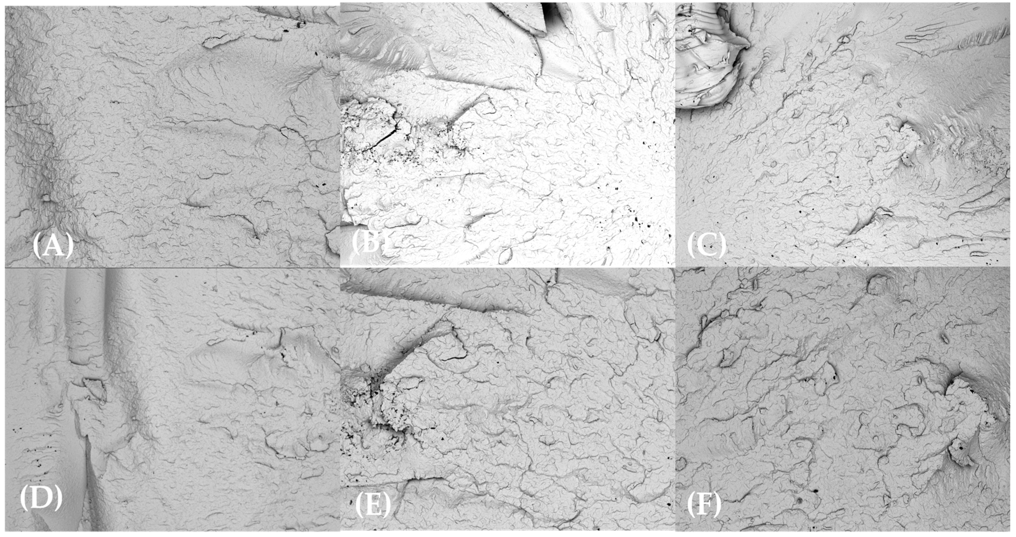 Materials 18 02085 g007