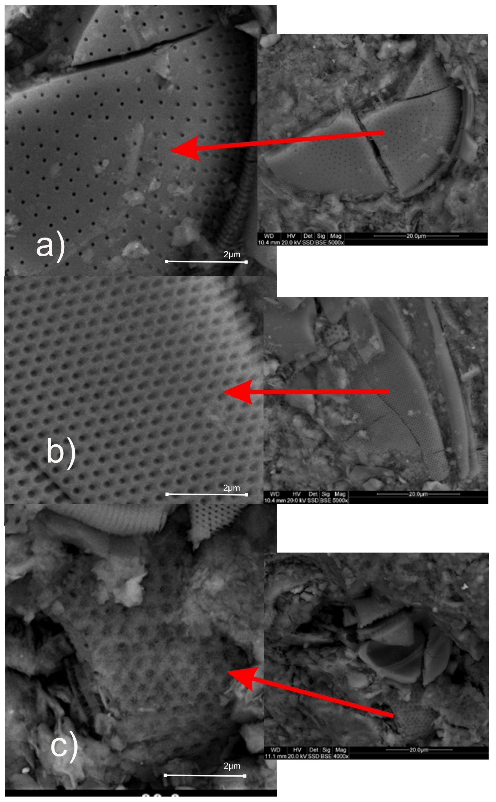 Materials 18 02097 g002 Materials 18 02097 g002