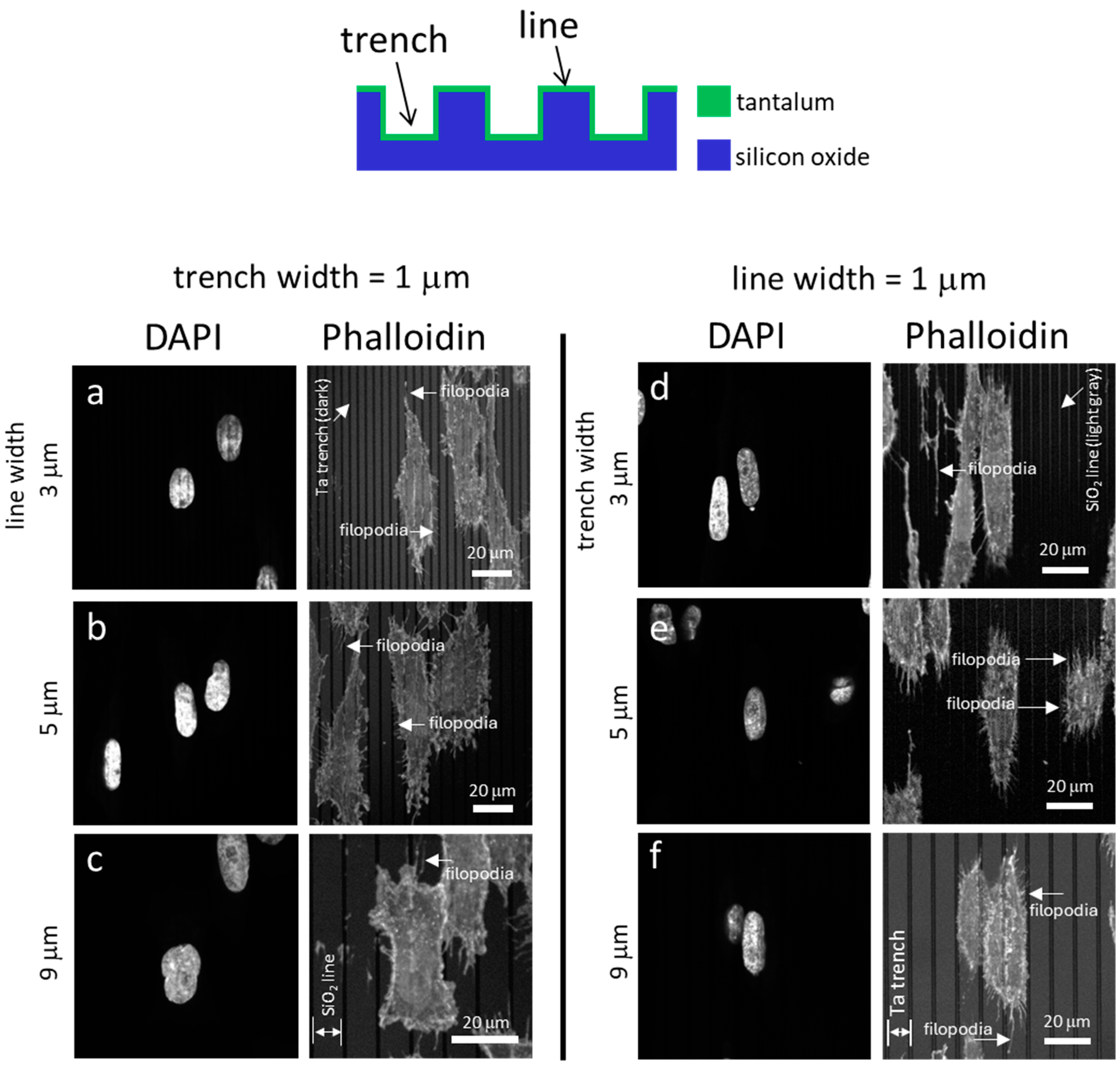 Materials 18 02099 g003