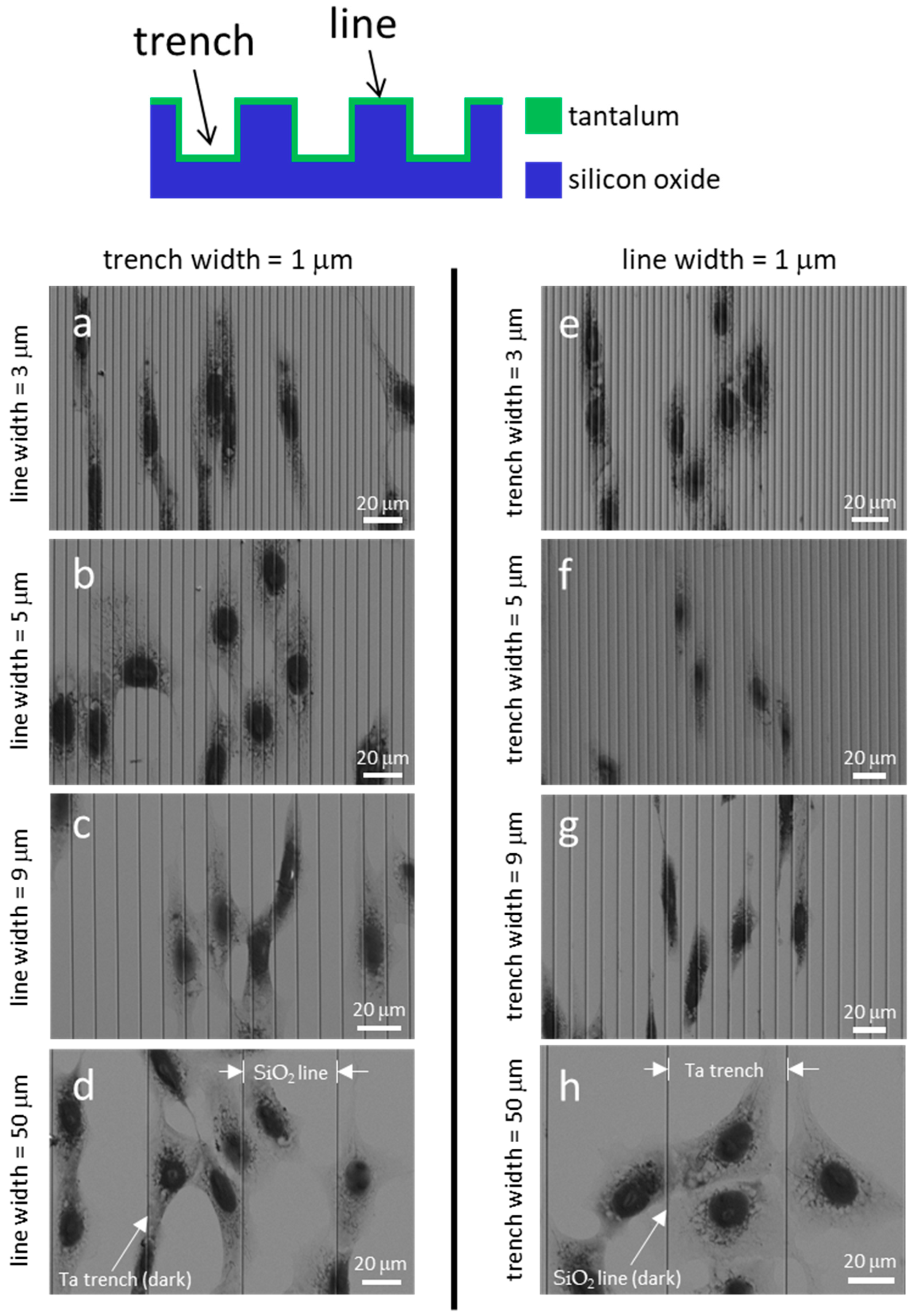 Materials 18 02099 g004