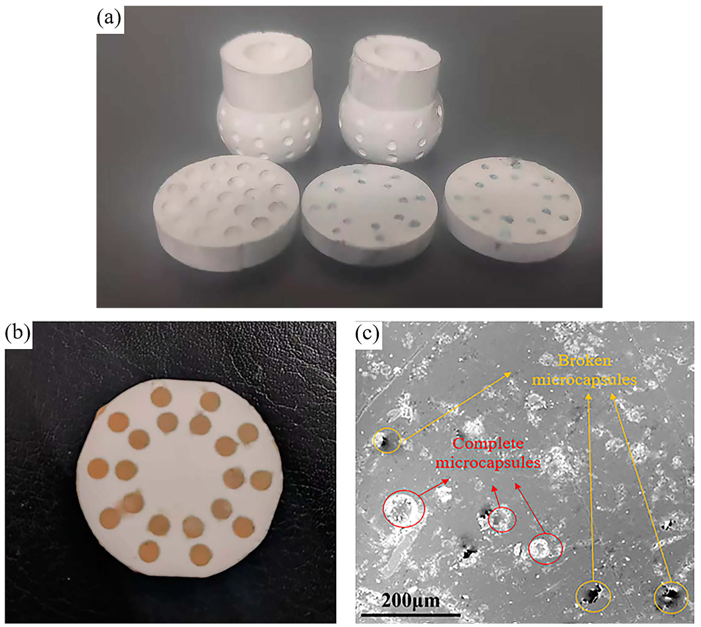 Materials 18 02110 g006