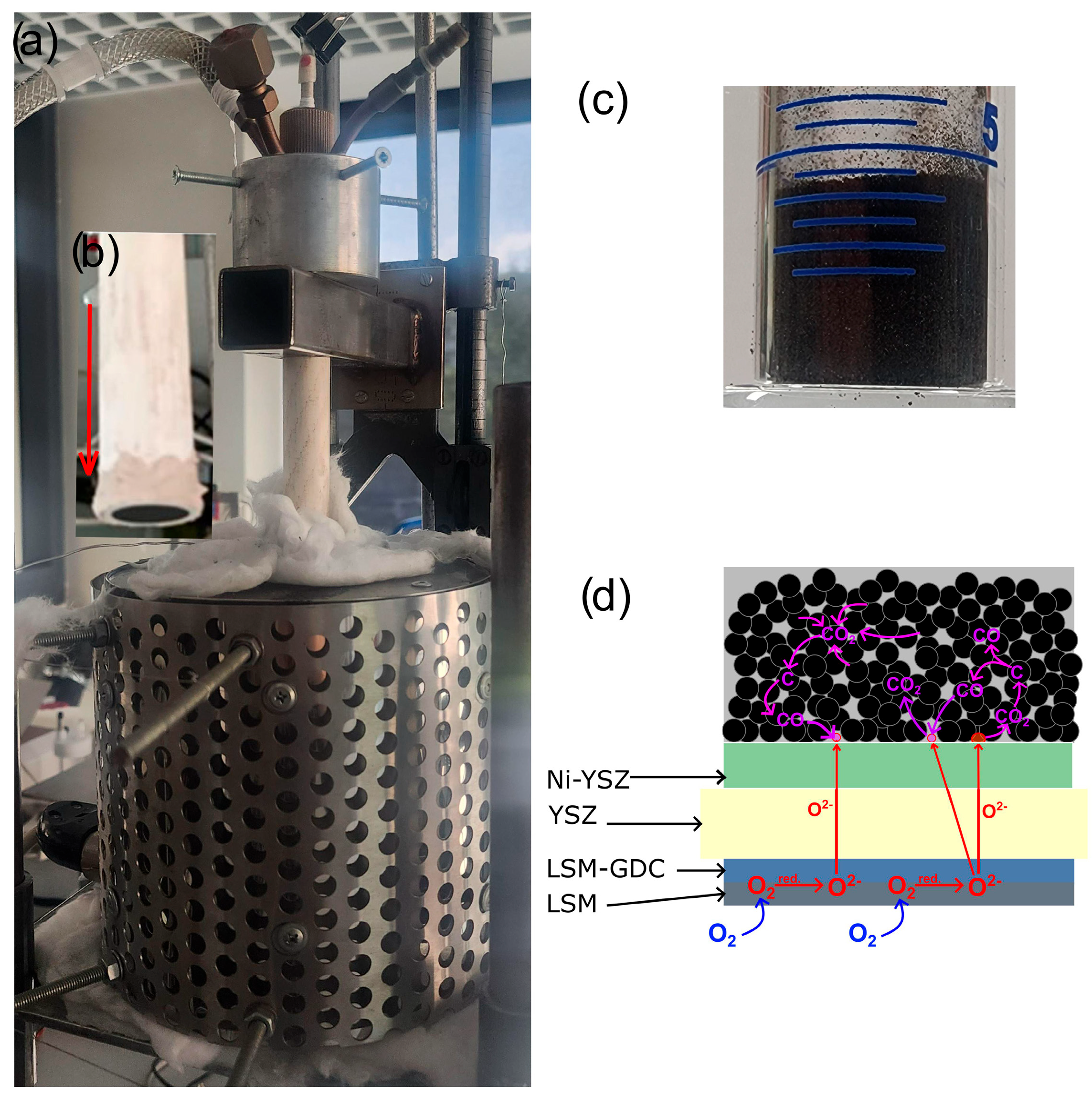 Materials 18 02112 g001