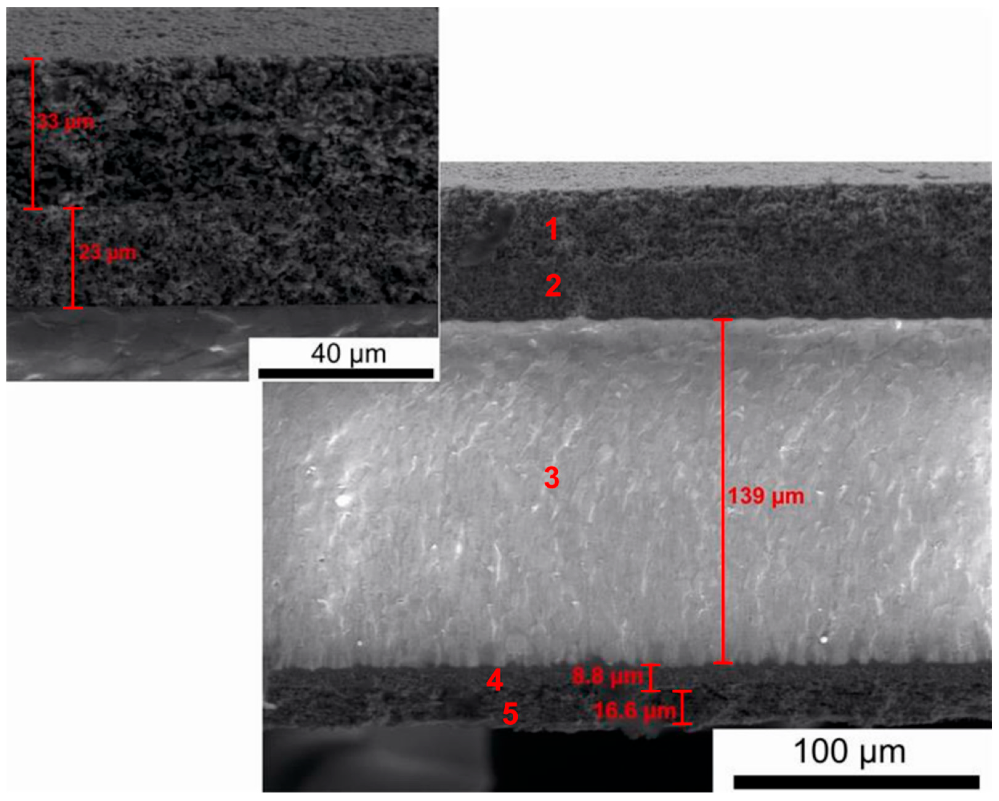 Materials 18 02112 g017