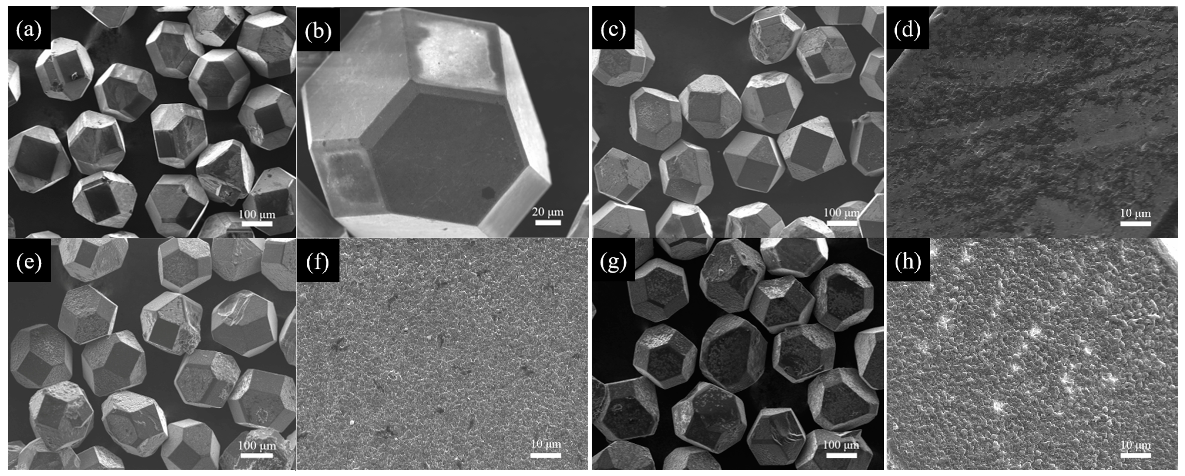 Materials 18 02117 g002