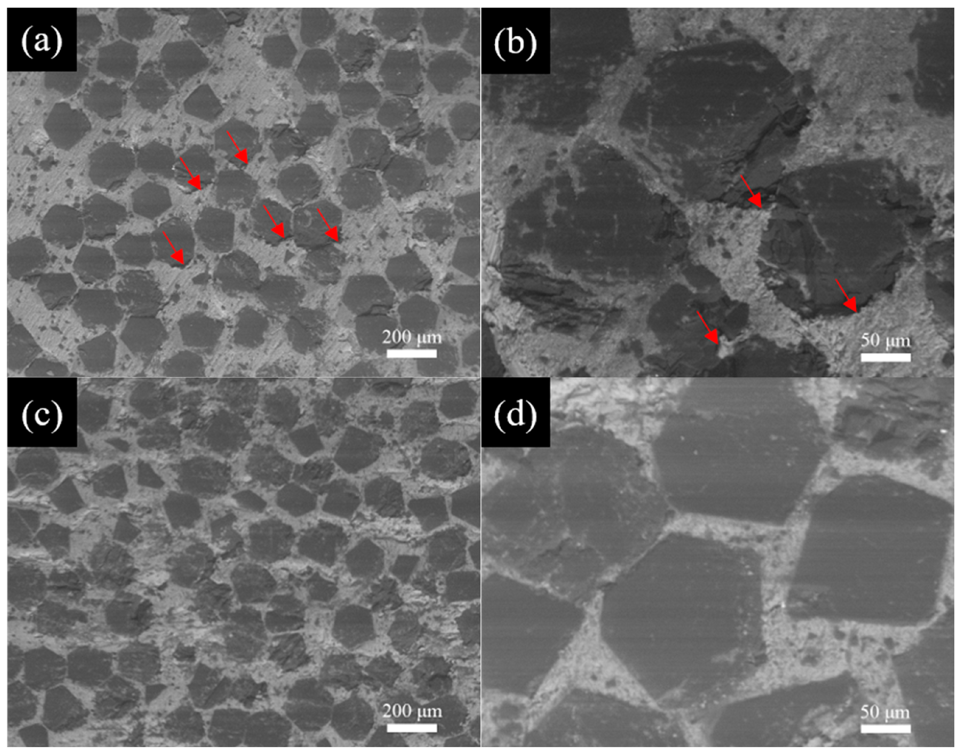 Materials 18 02117 g005