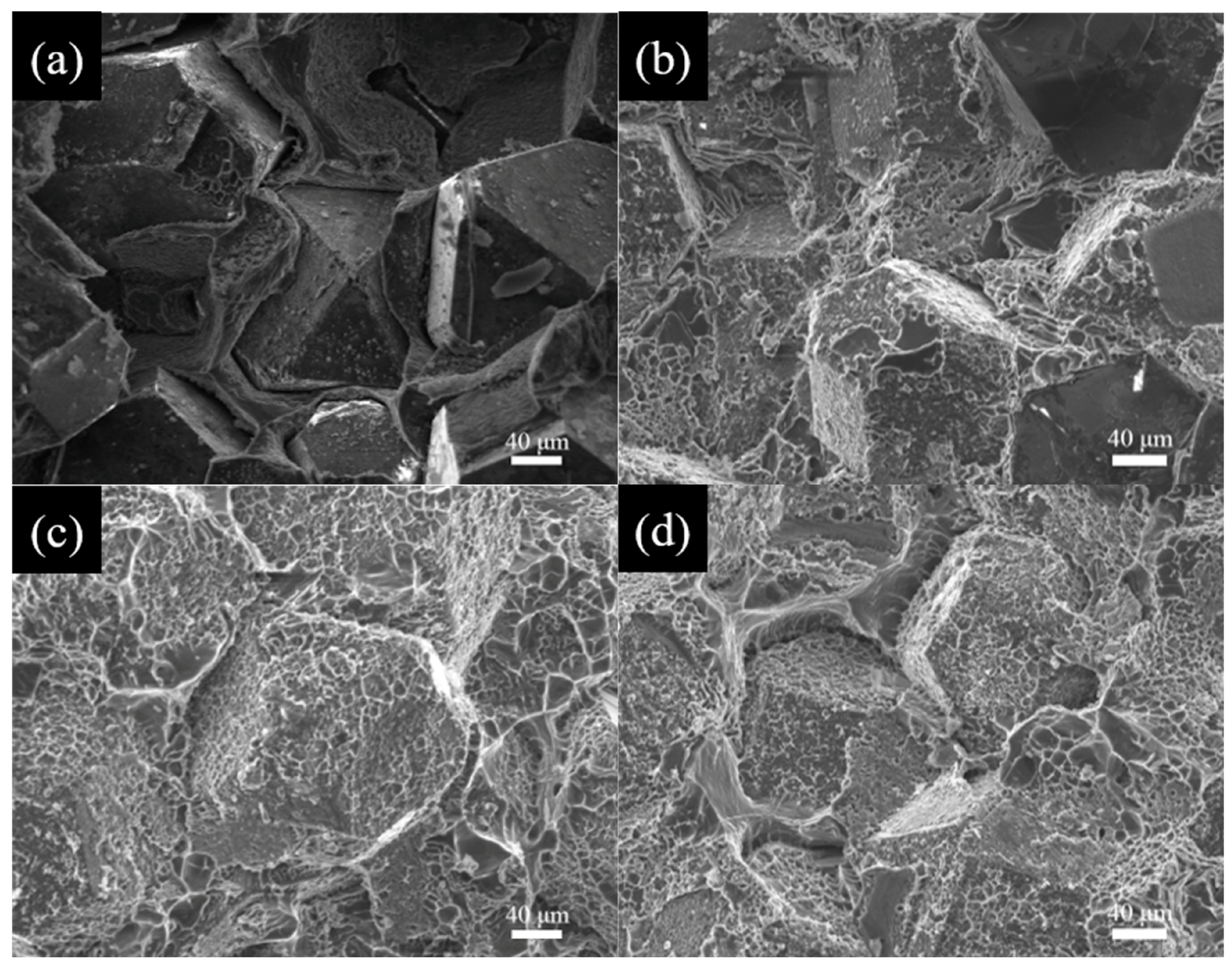 Materials 18 02117 g006