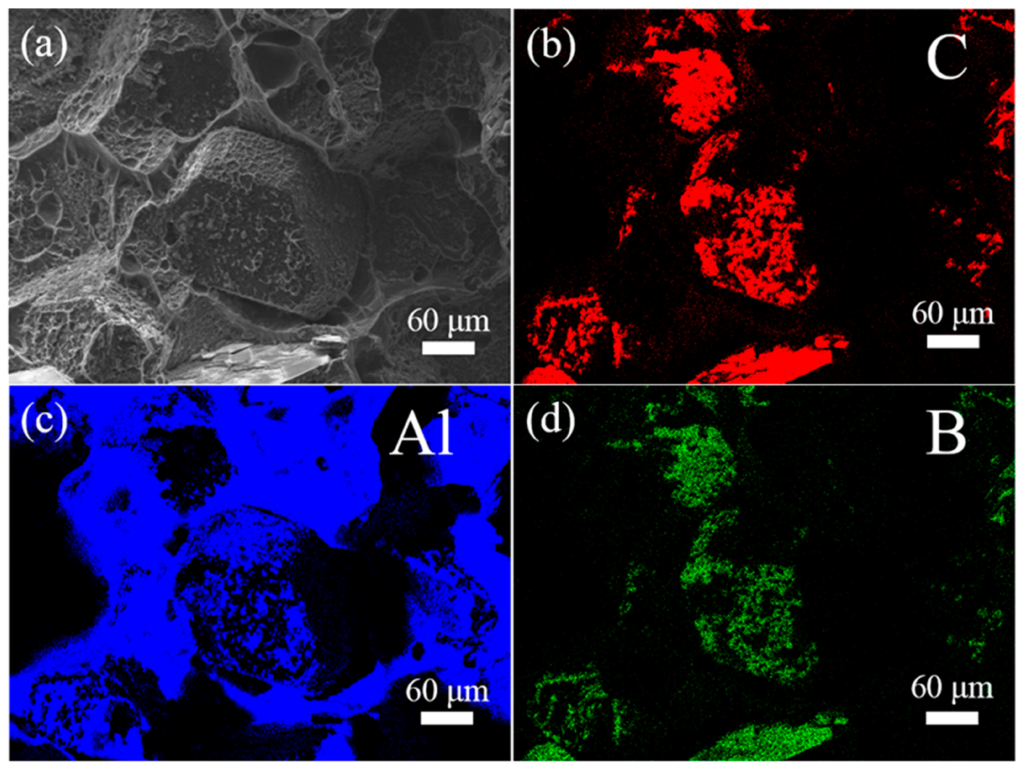 Materials 18 02117 g007
