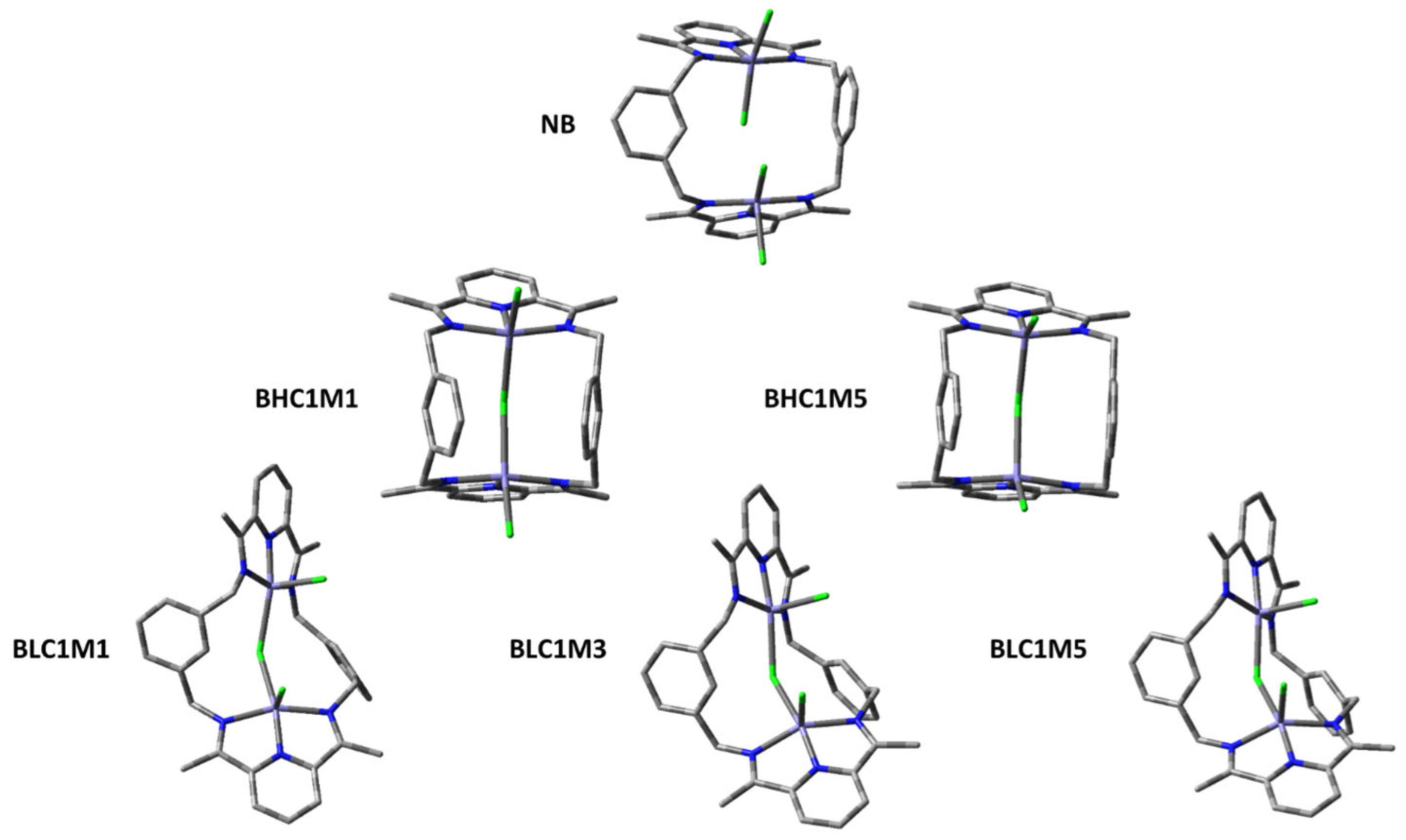 Materials 18 02123 g001