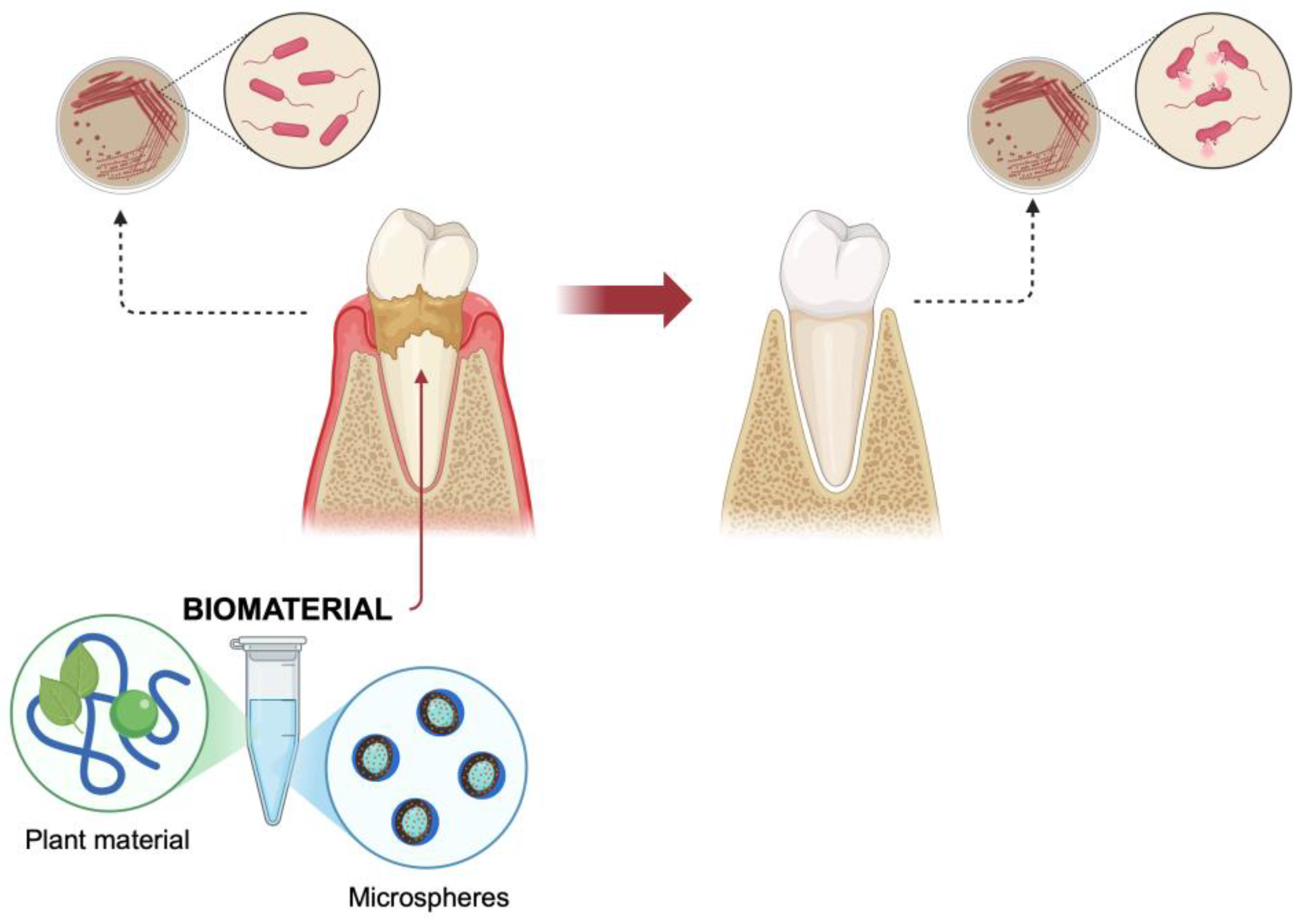 Materials 18 02124 g007