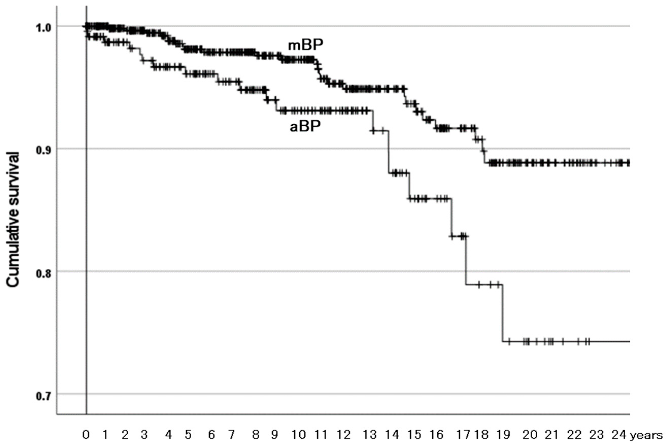 Materials 18 02125 g005