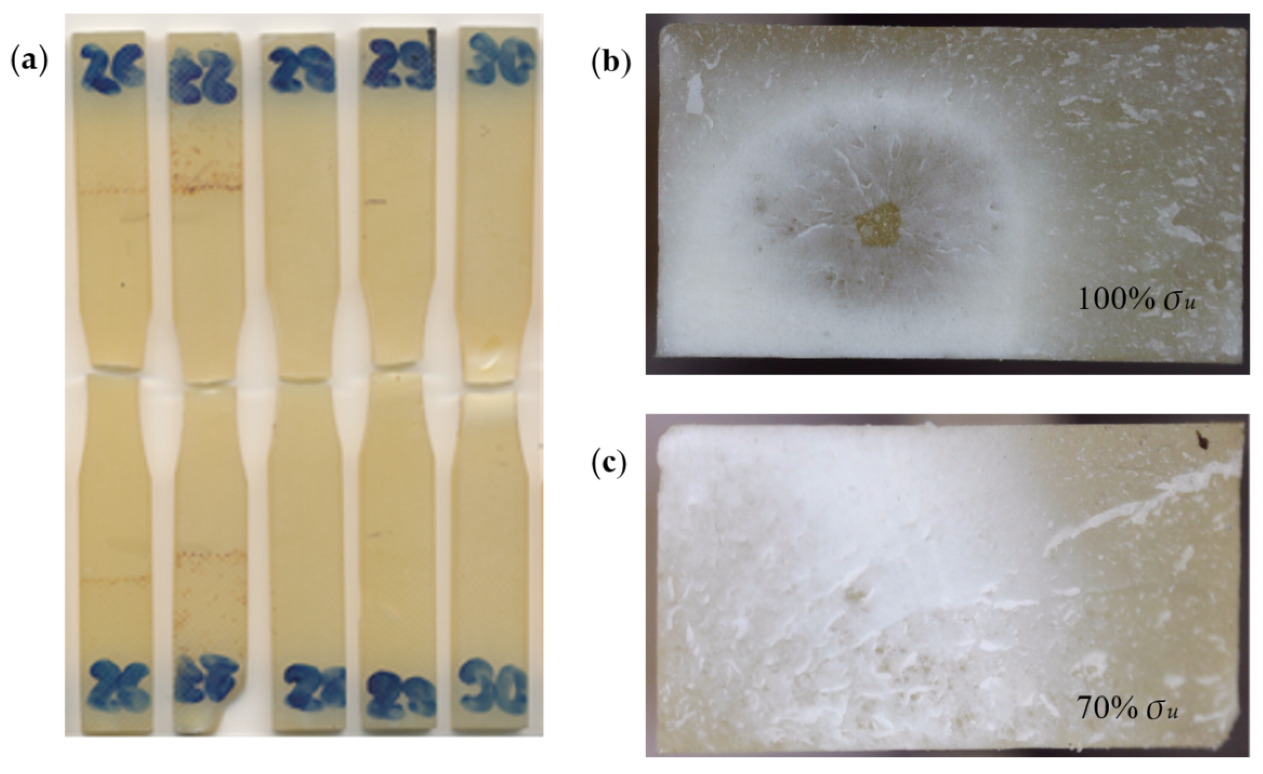 Materials 18 02127 g007