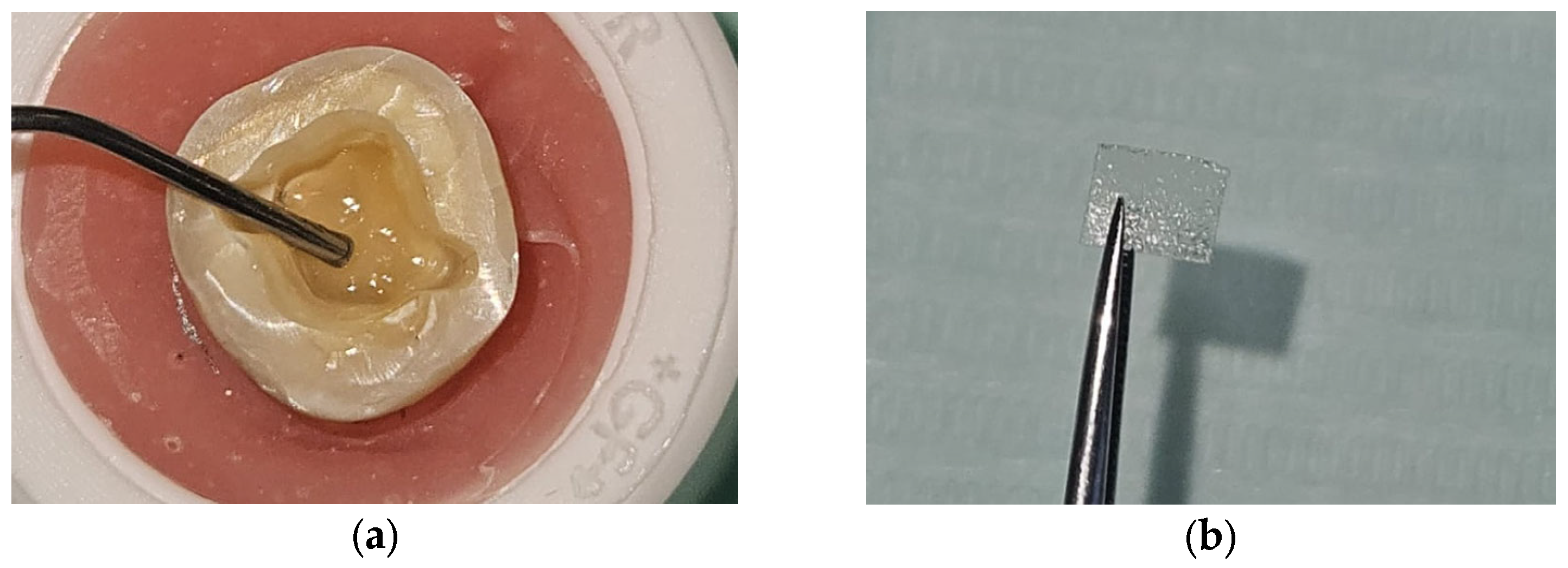 Materials 18 02137 g003a