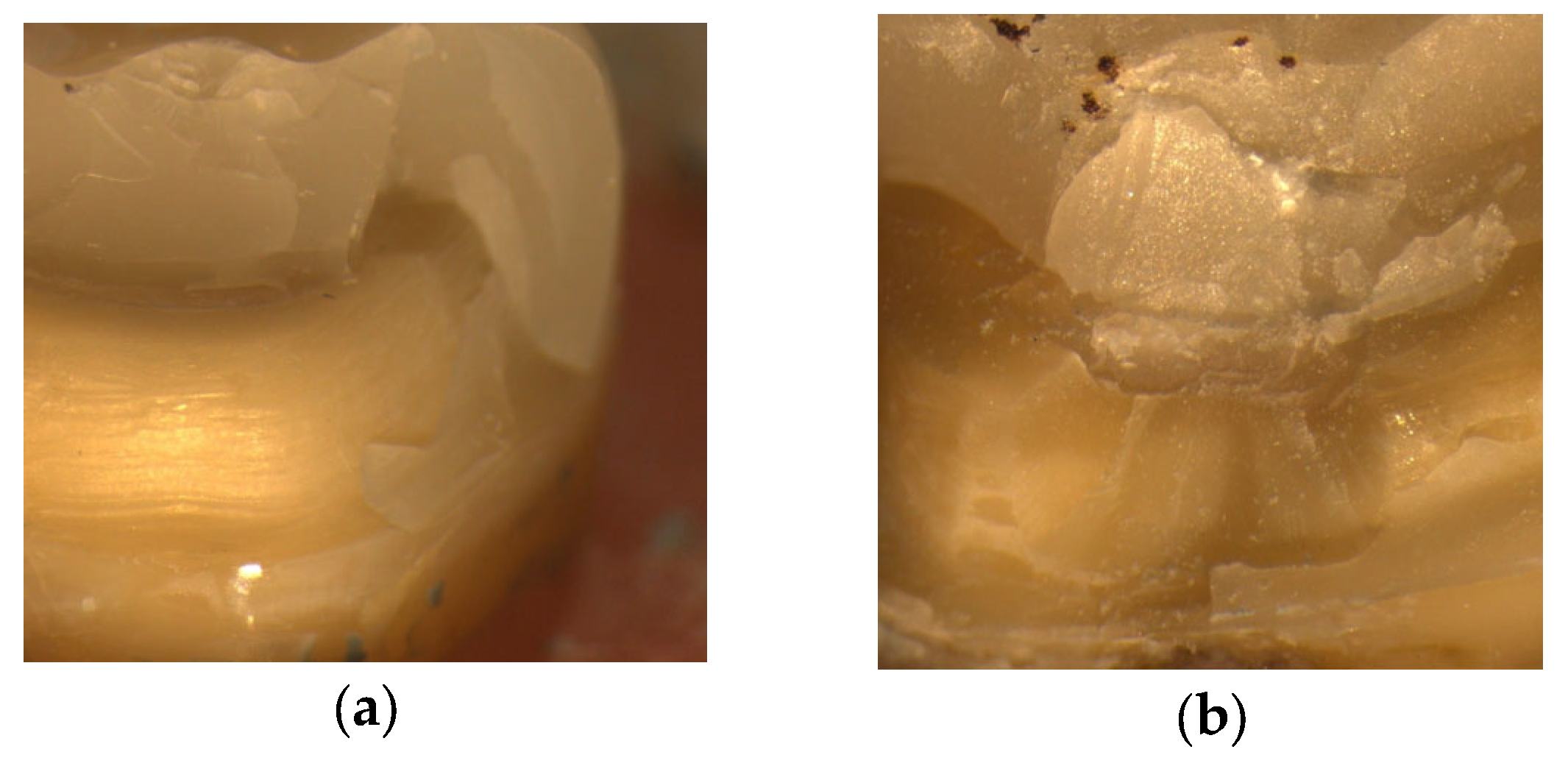 Materials 18 02137 g007a