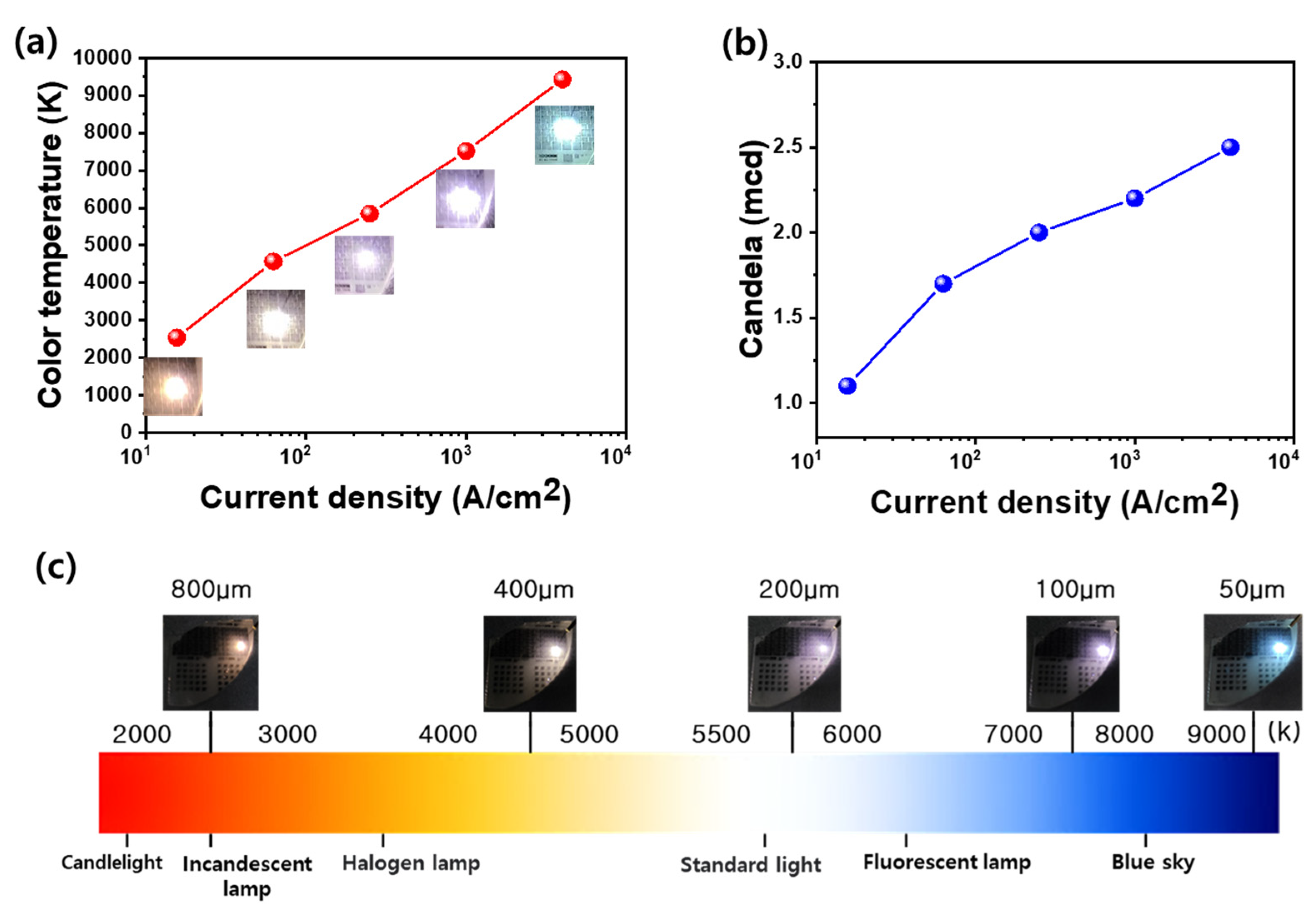 Materials 18 02140 g005