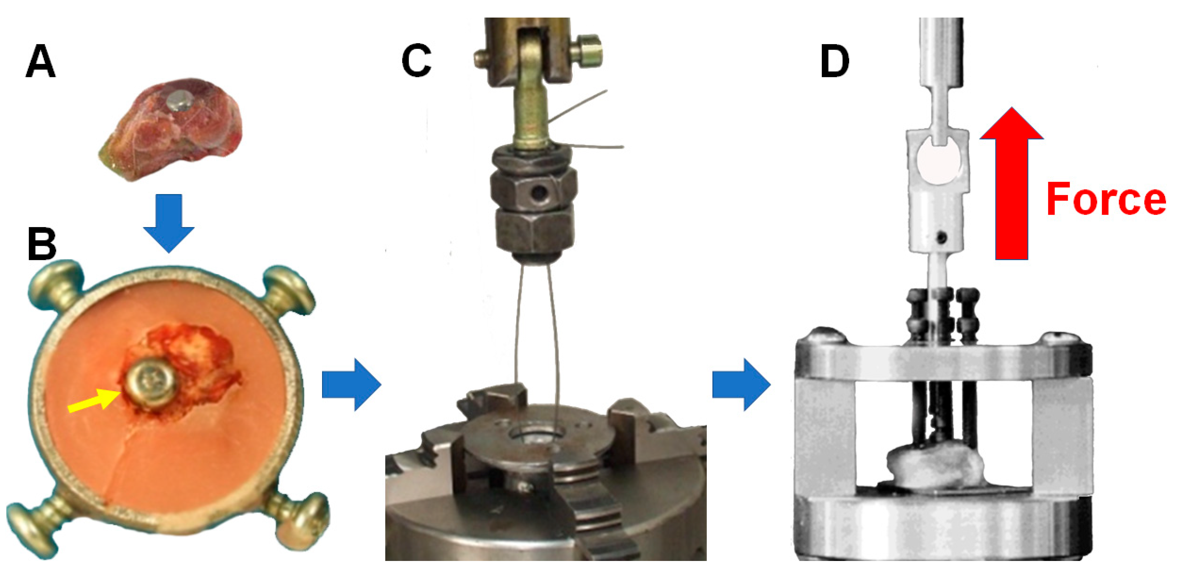 Materials 18 02141 g006