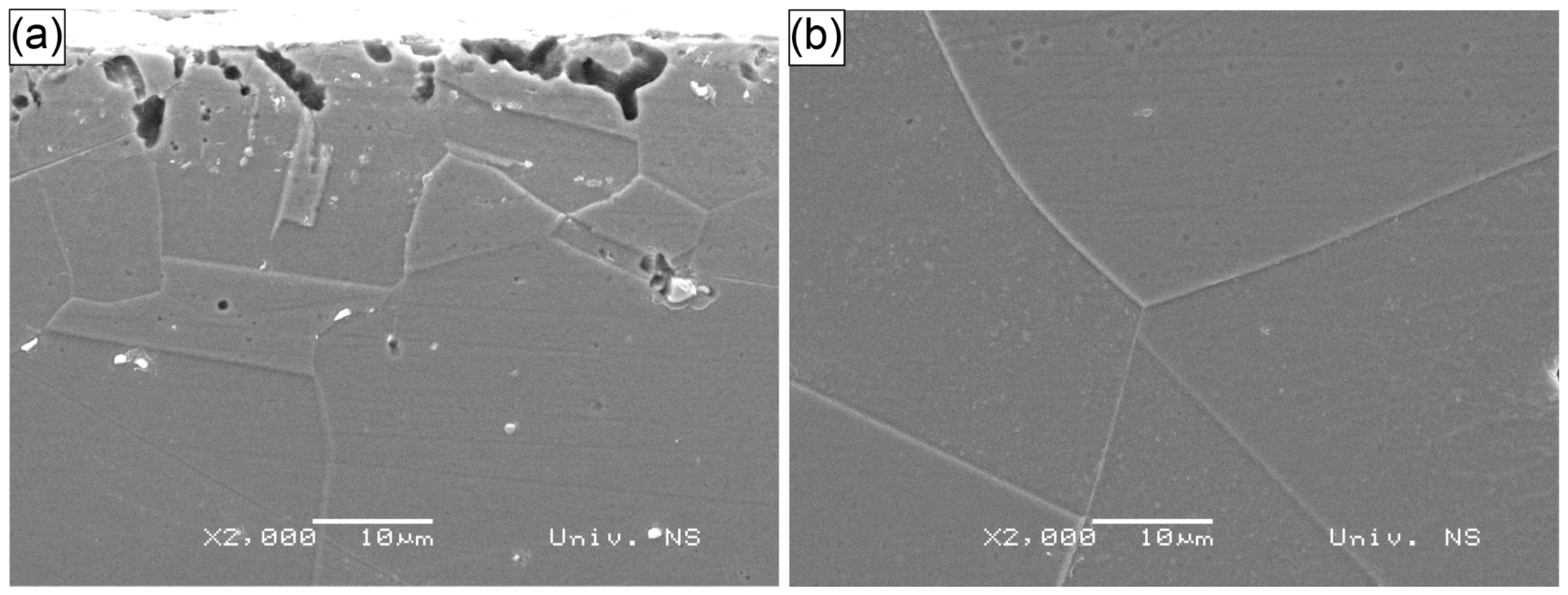 Materials 18 02145 g009