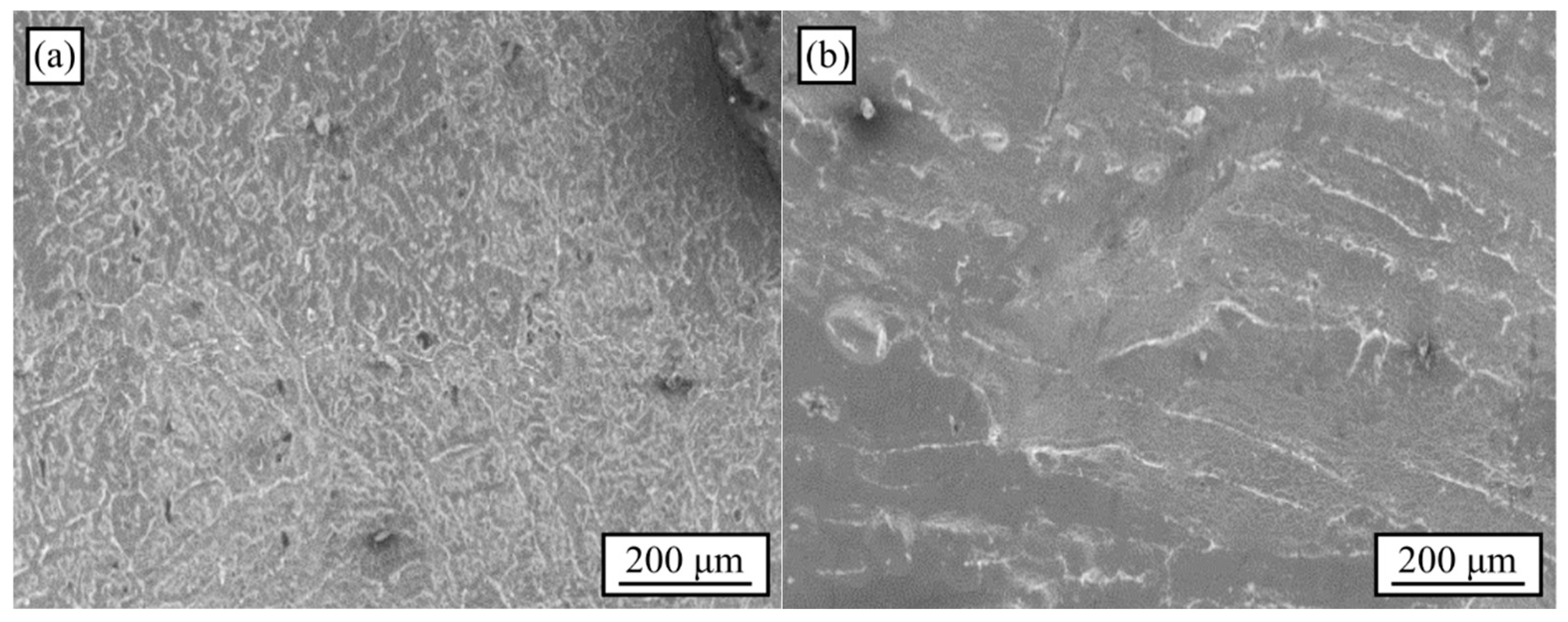 Materials 18 02147 g002