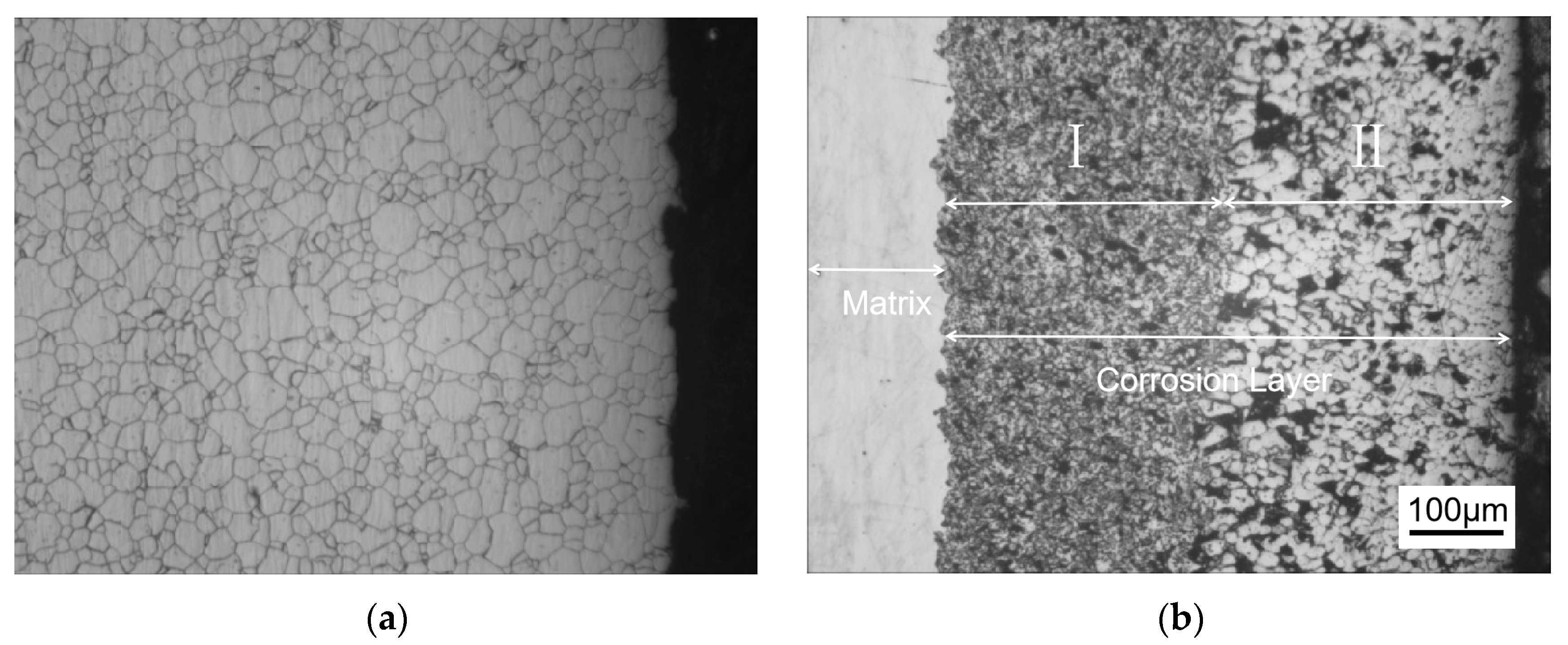 Materials 18 02149 g001