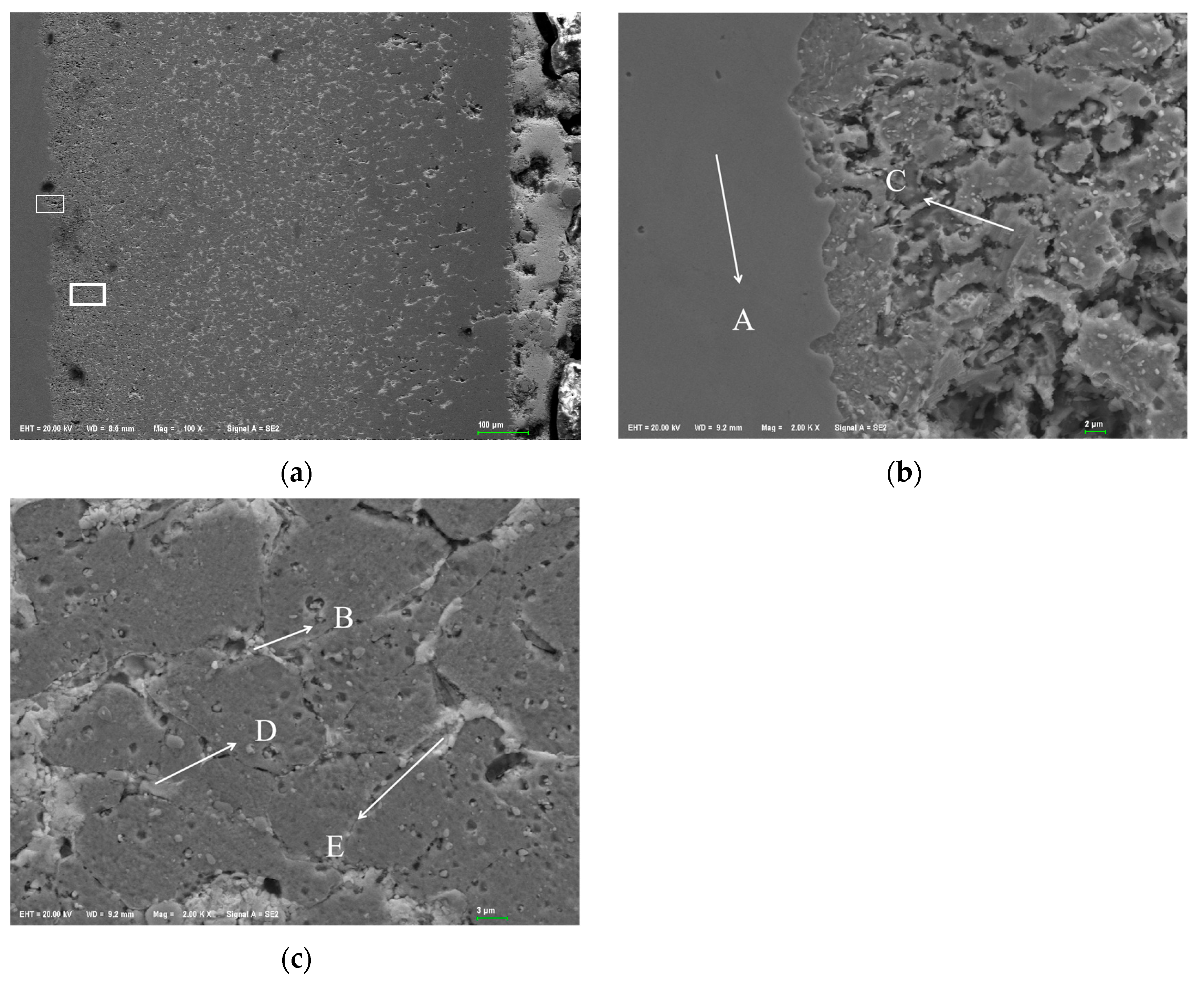 Materials 18 02149 g004