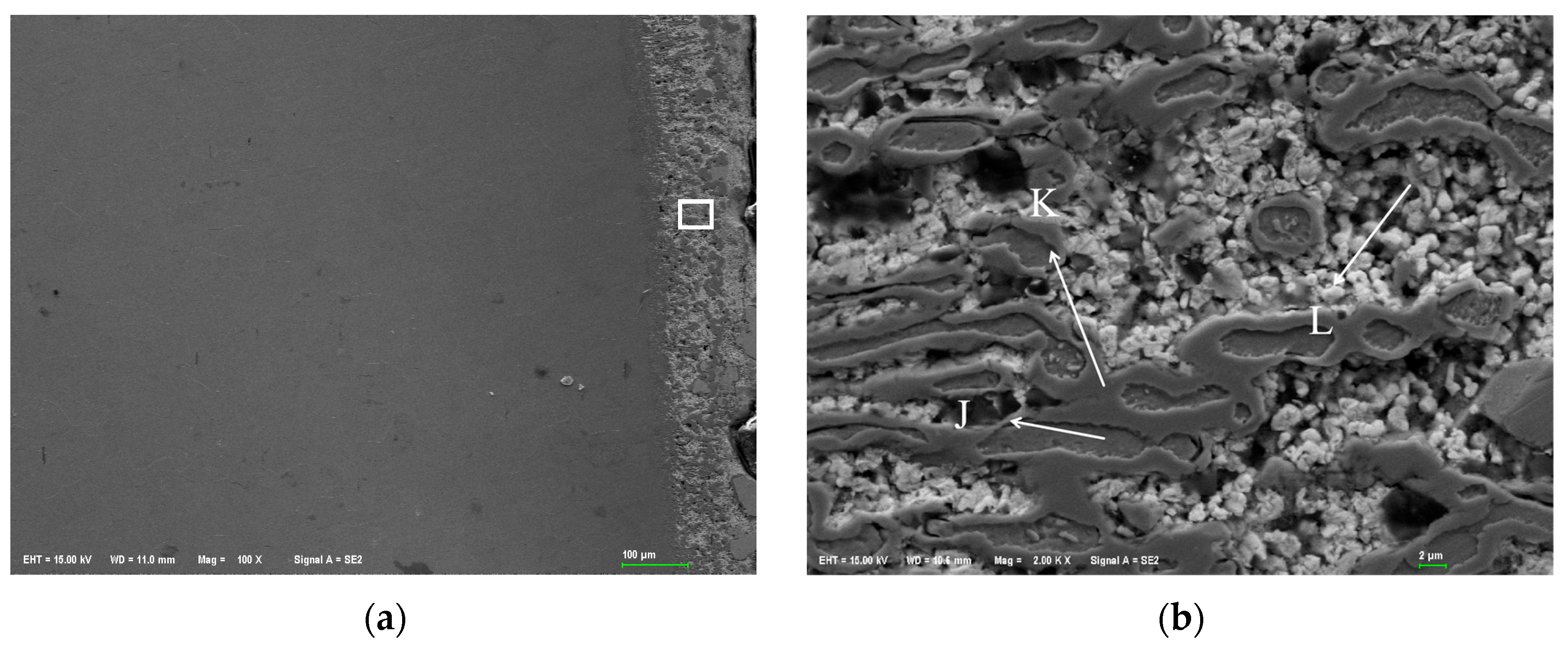 Materials 18 02149 g010