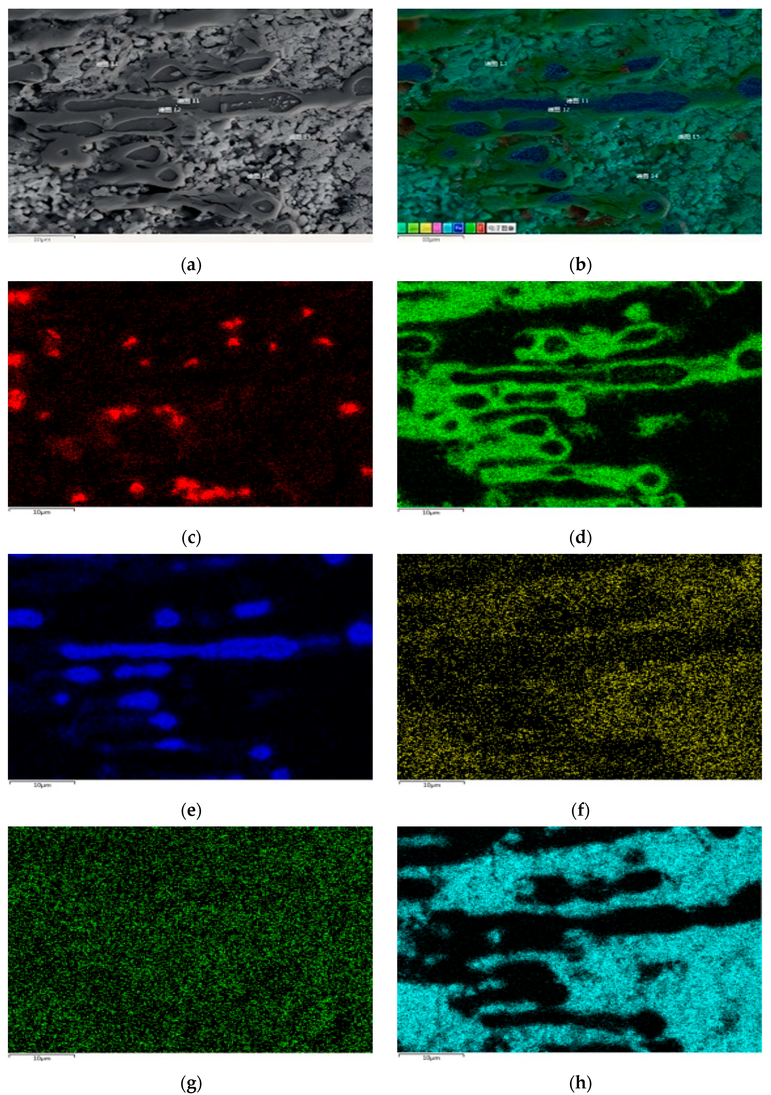 Materials 18 02149 g012