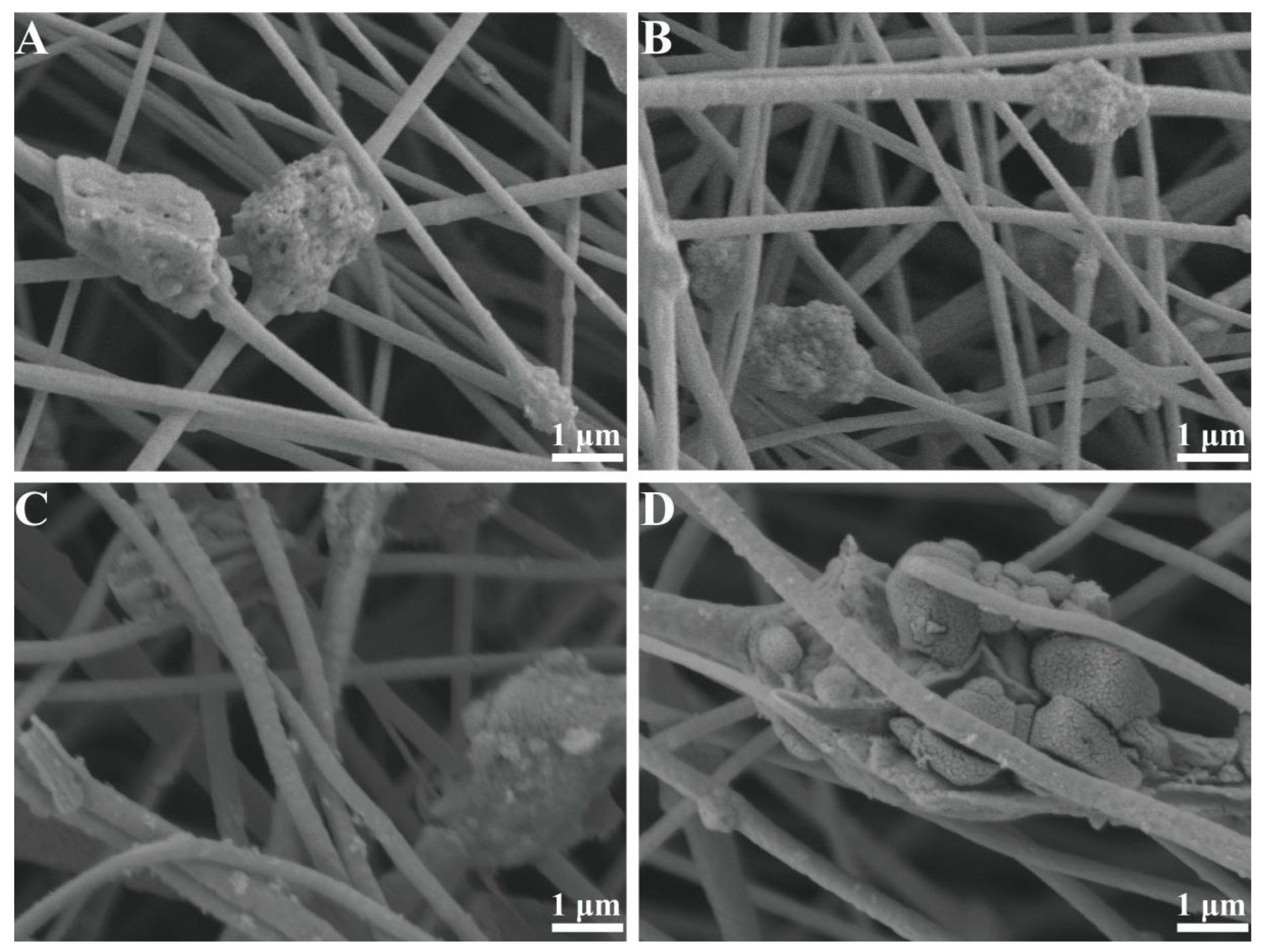 Materials 18 02151 g002