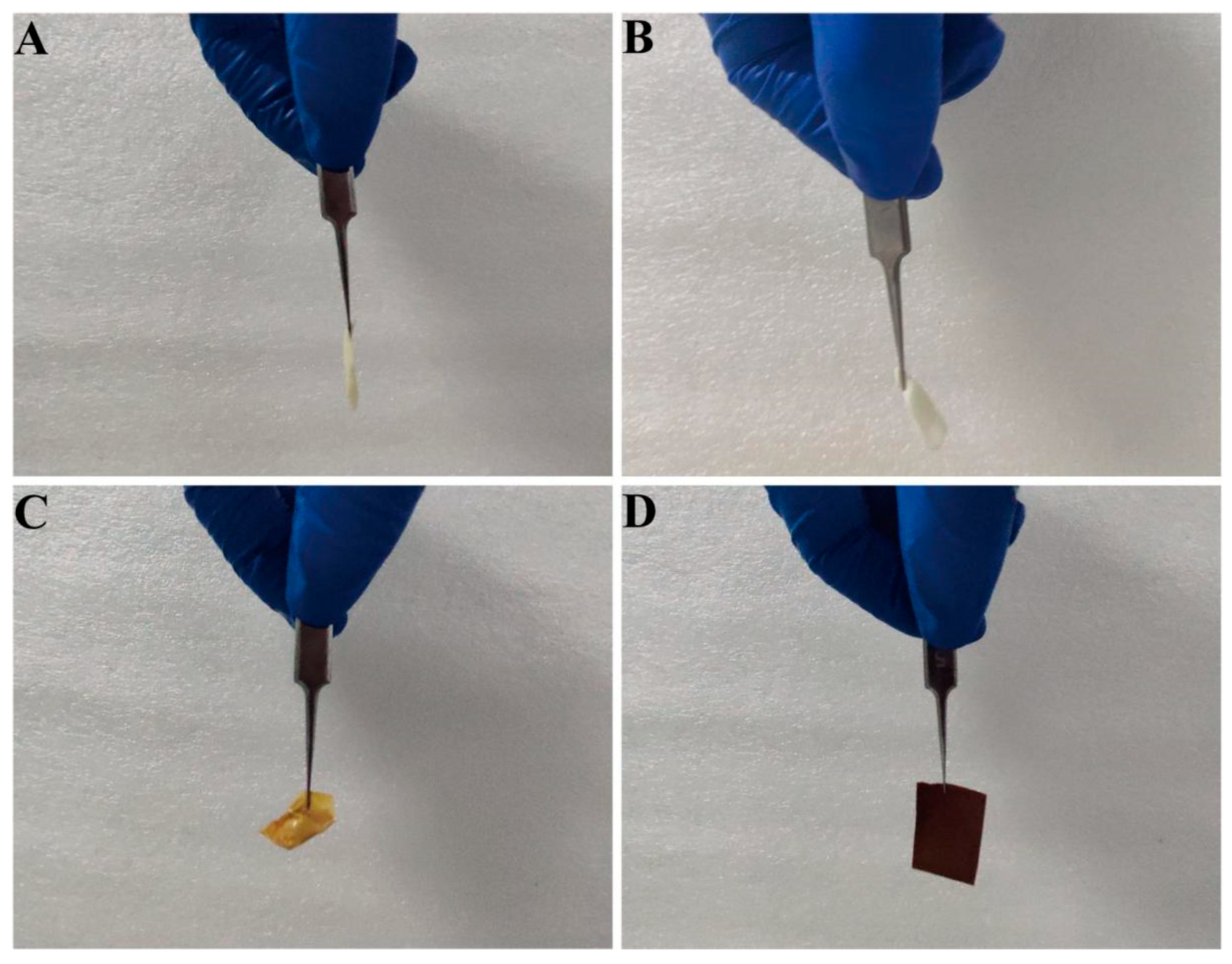 Materials 18 02151 g003