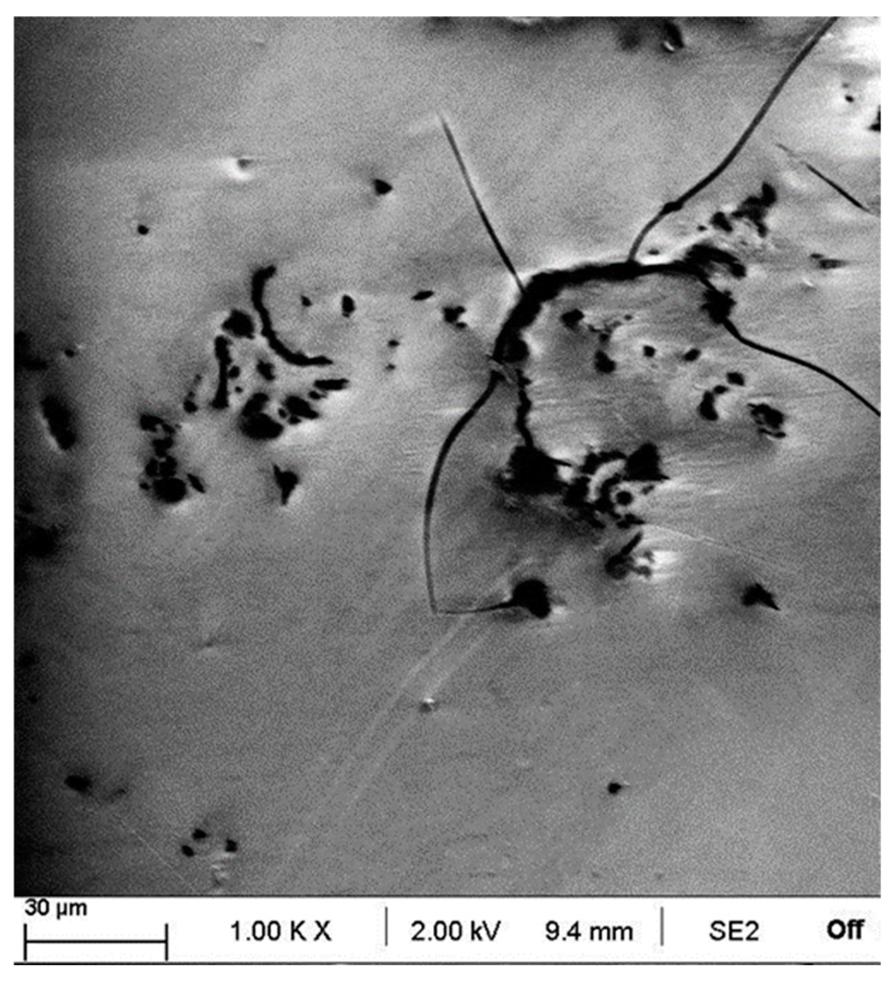 Materials 18 02159 g008