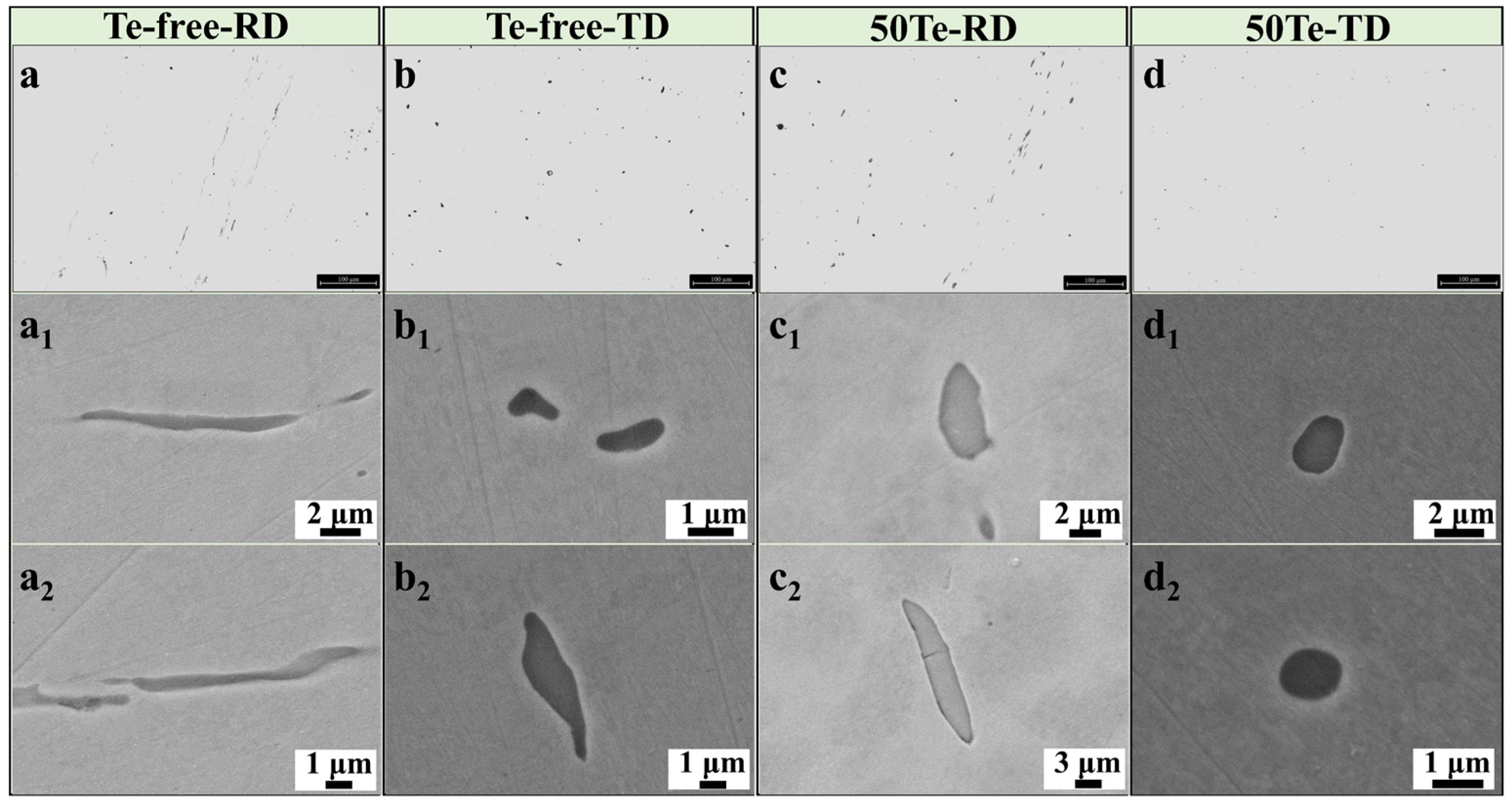 Materials 18 02162 g003