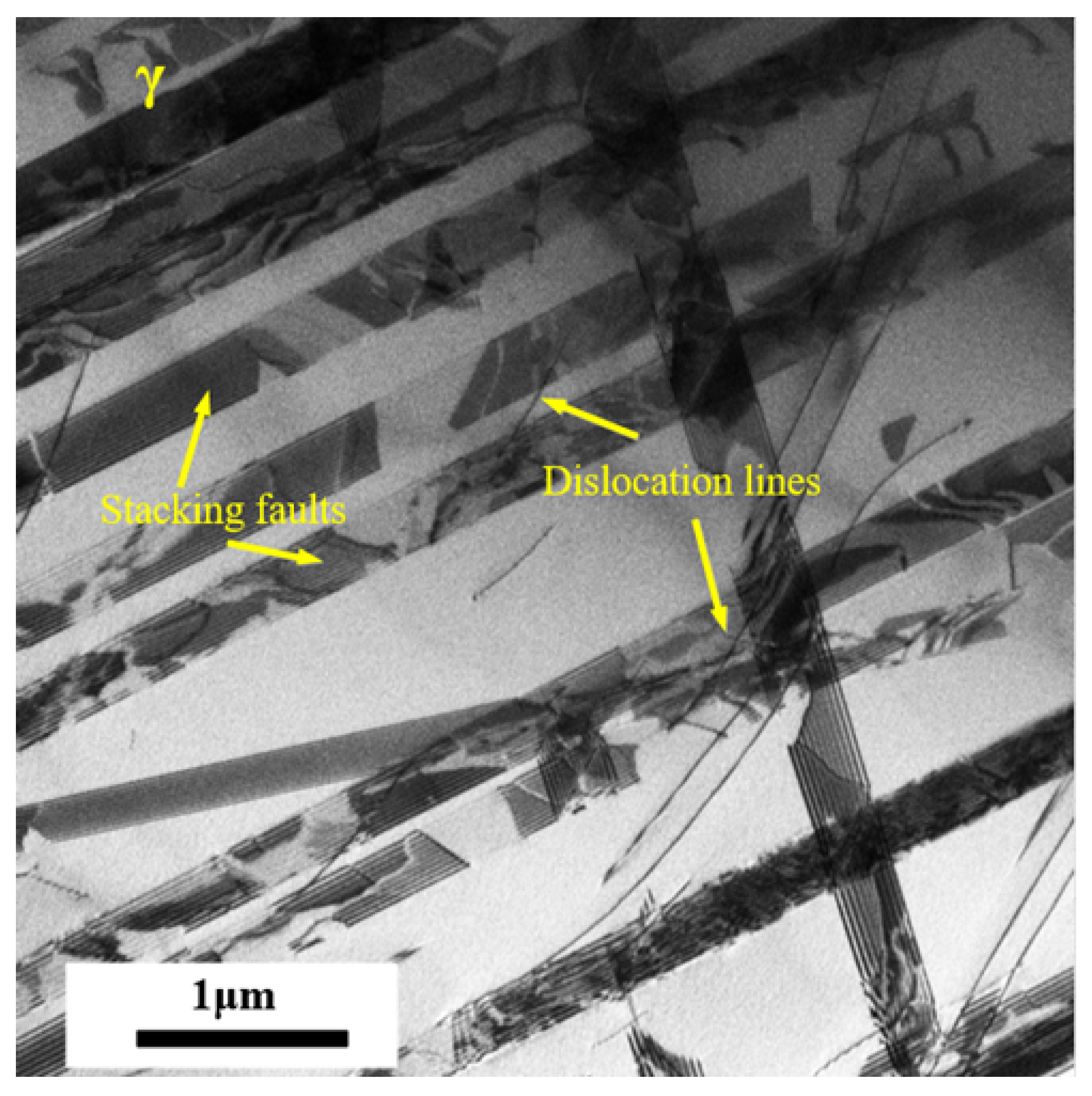 Materials 18 02169 g011