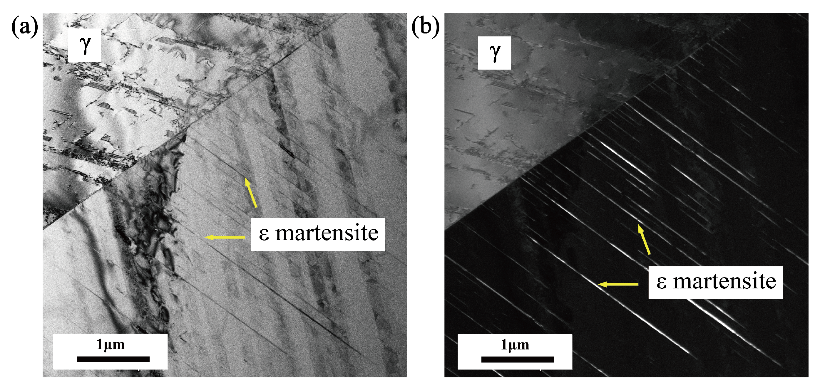 Materials 18 02169 g012