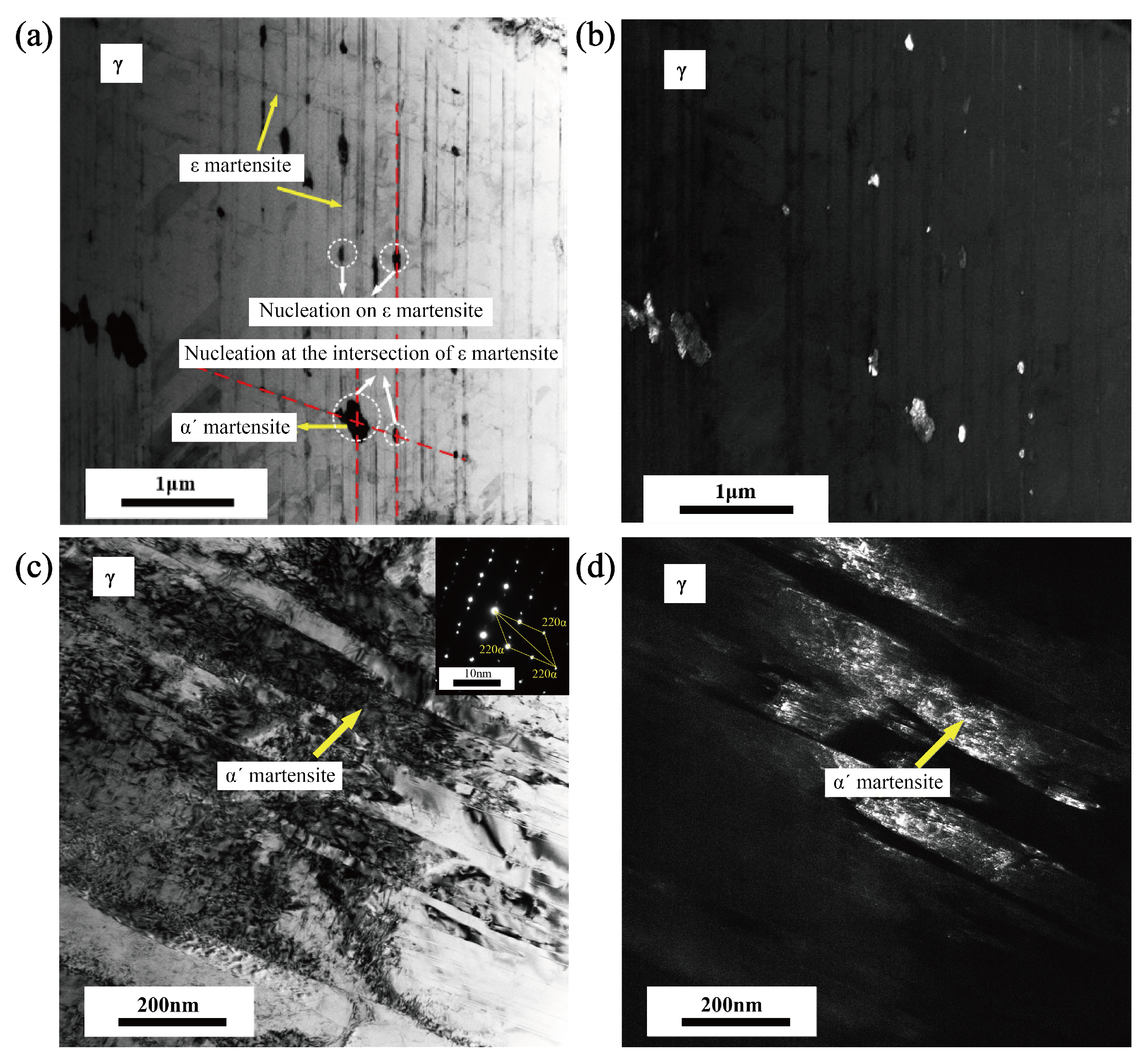 Materials 18 02169 g013