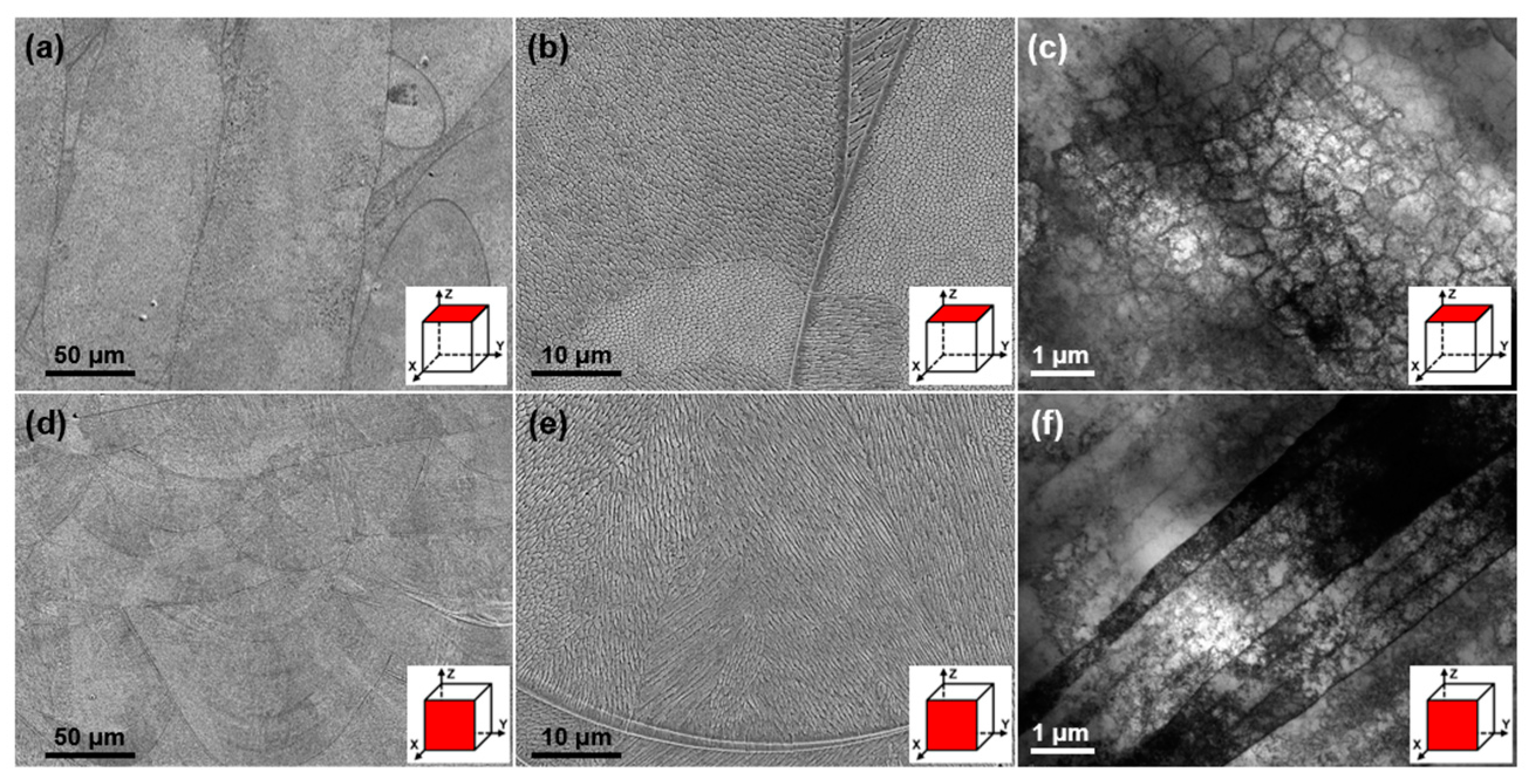 Materials 18 02173 g004