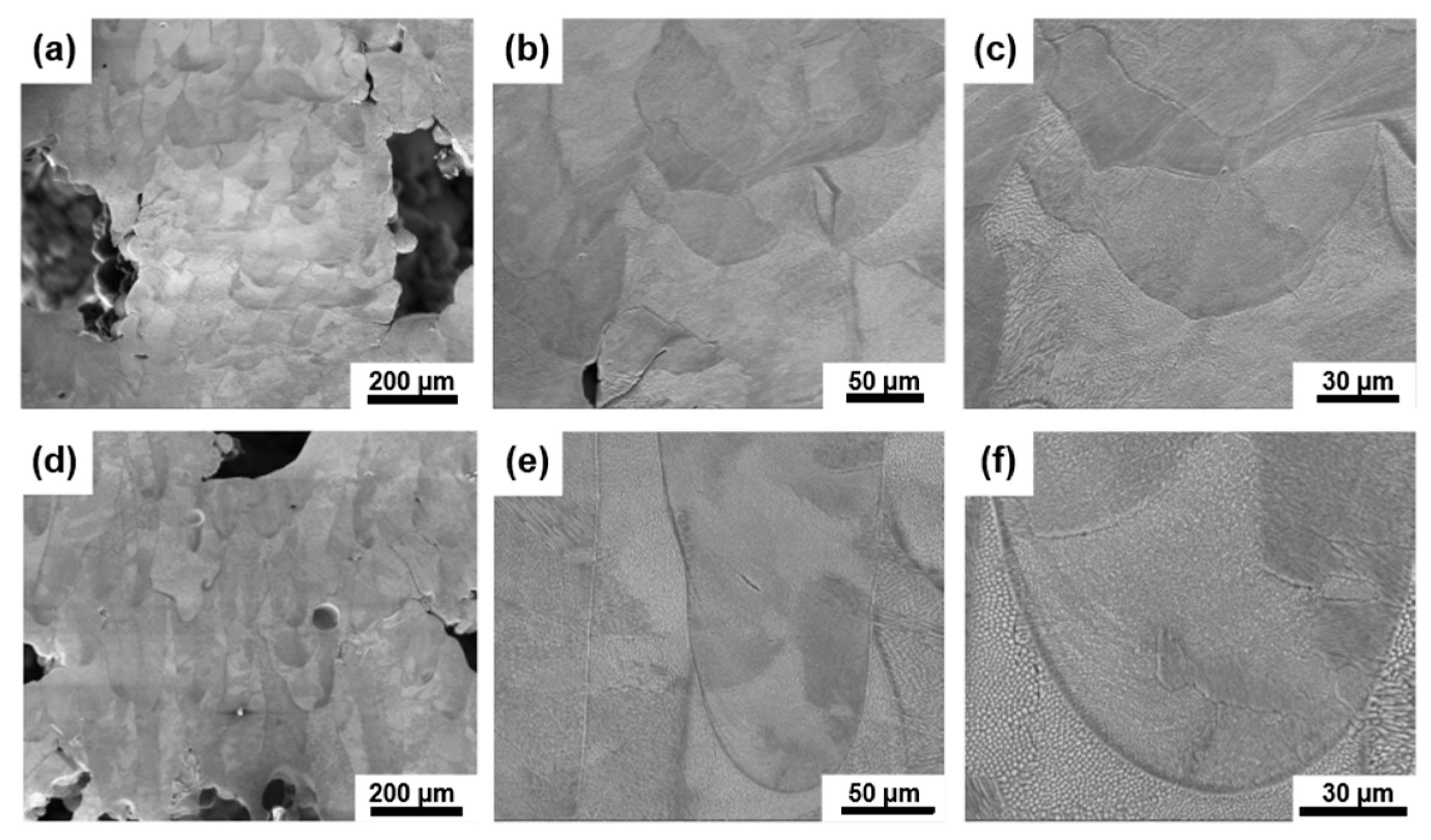 Materials 18 02173 g008